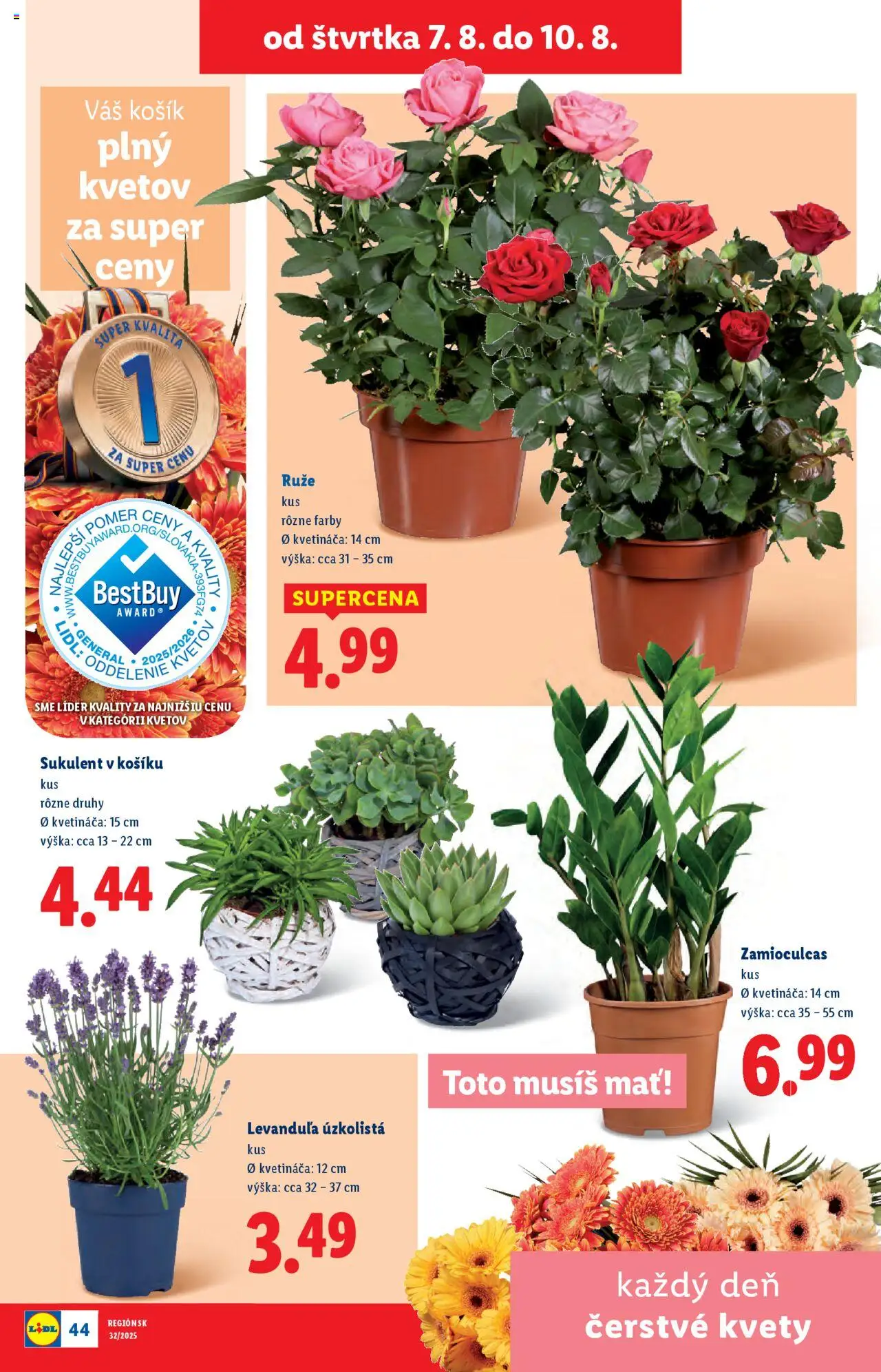 Lidl leták │ platný od 04.08.2025 | Strana: 75 | Produkty: Kvety, Ruže