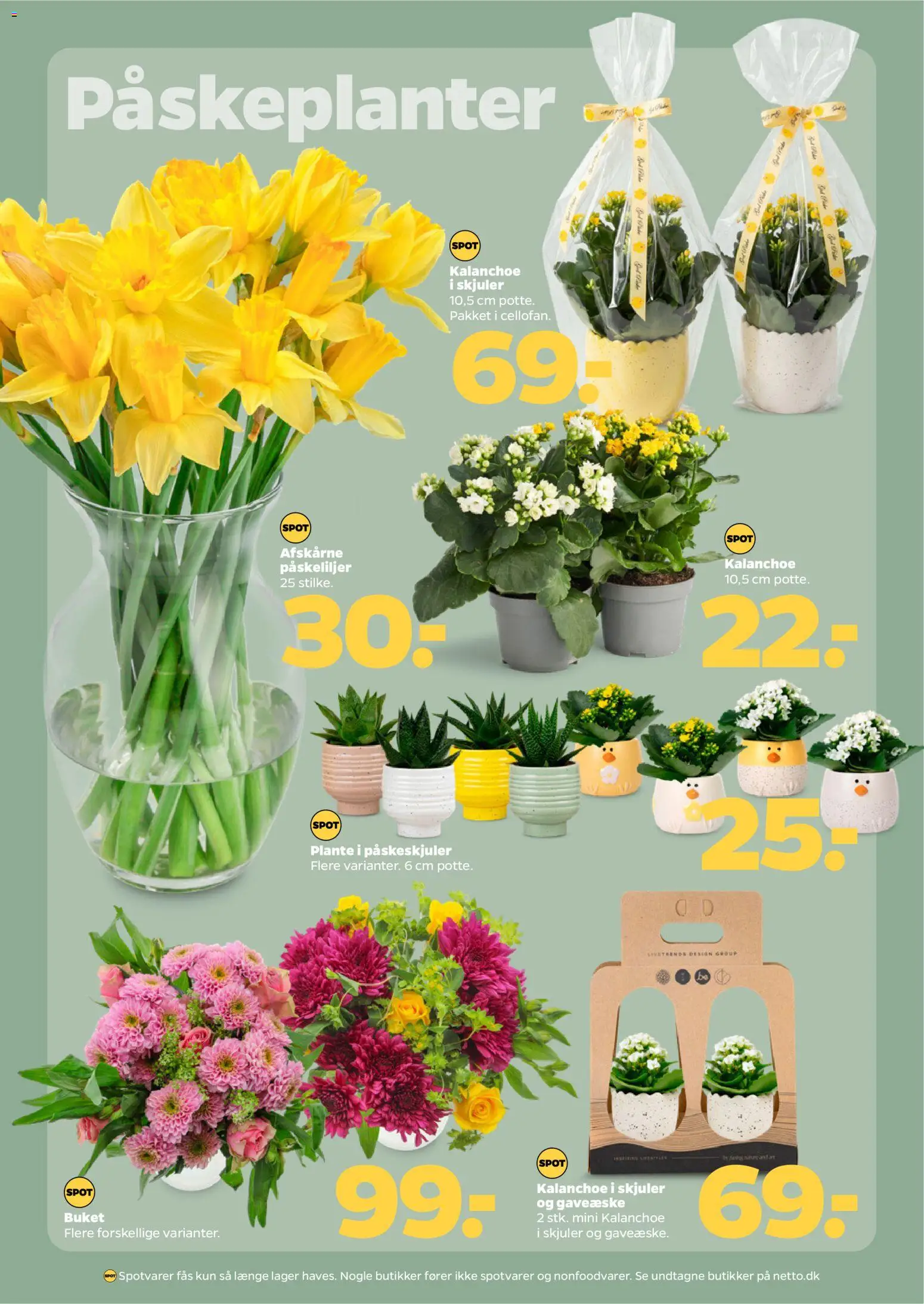 Netto tilbudsavis – gyldig fra 28.03.2026 | Side: 31