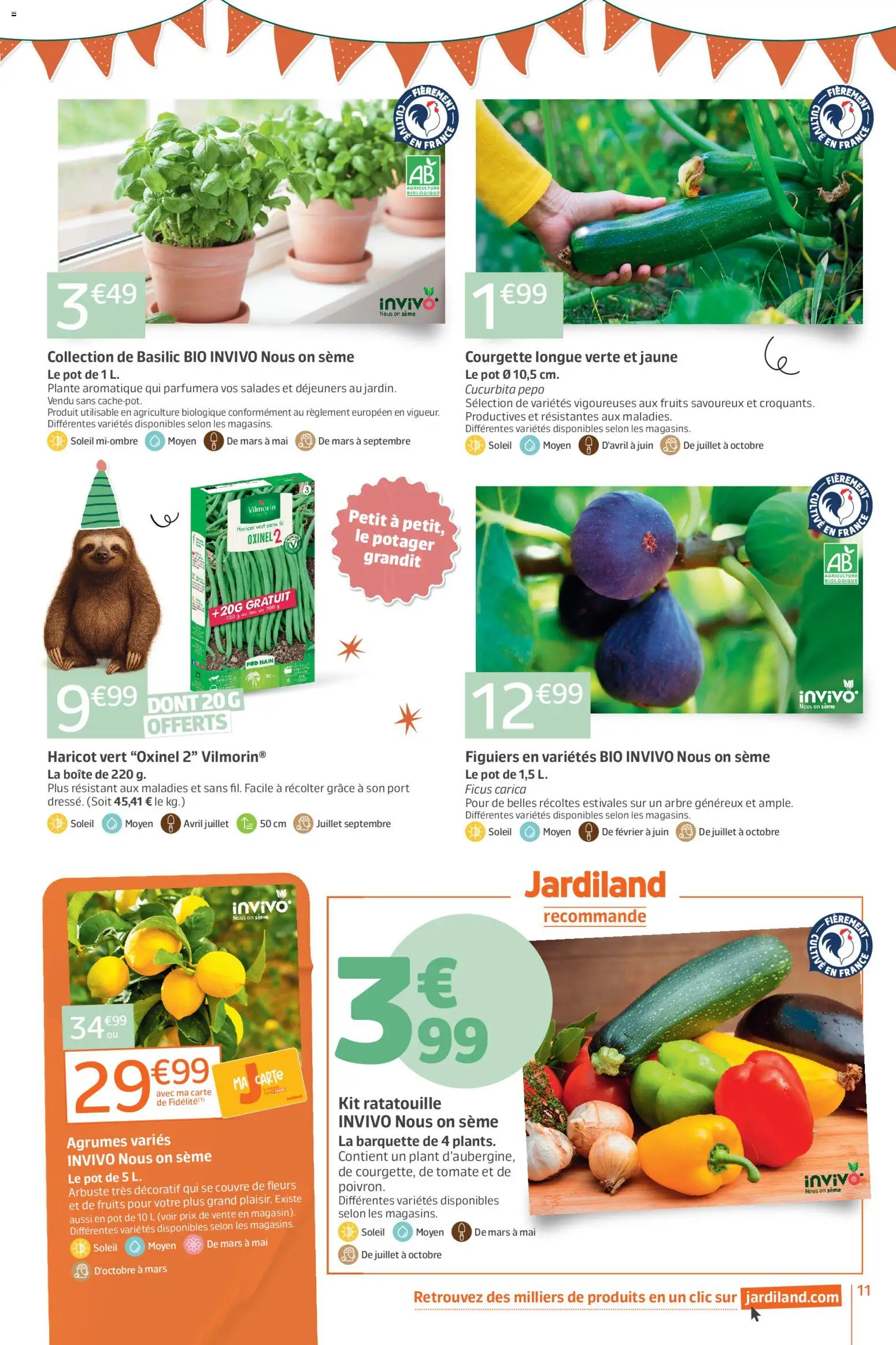 {H1} | Page: 11 | Produits: Le potager, Courgette, Haricot vert