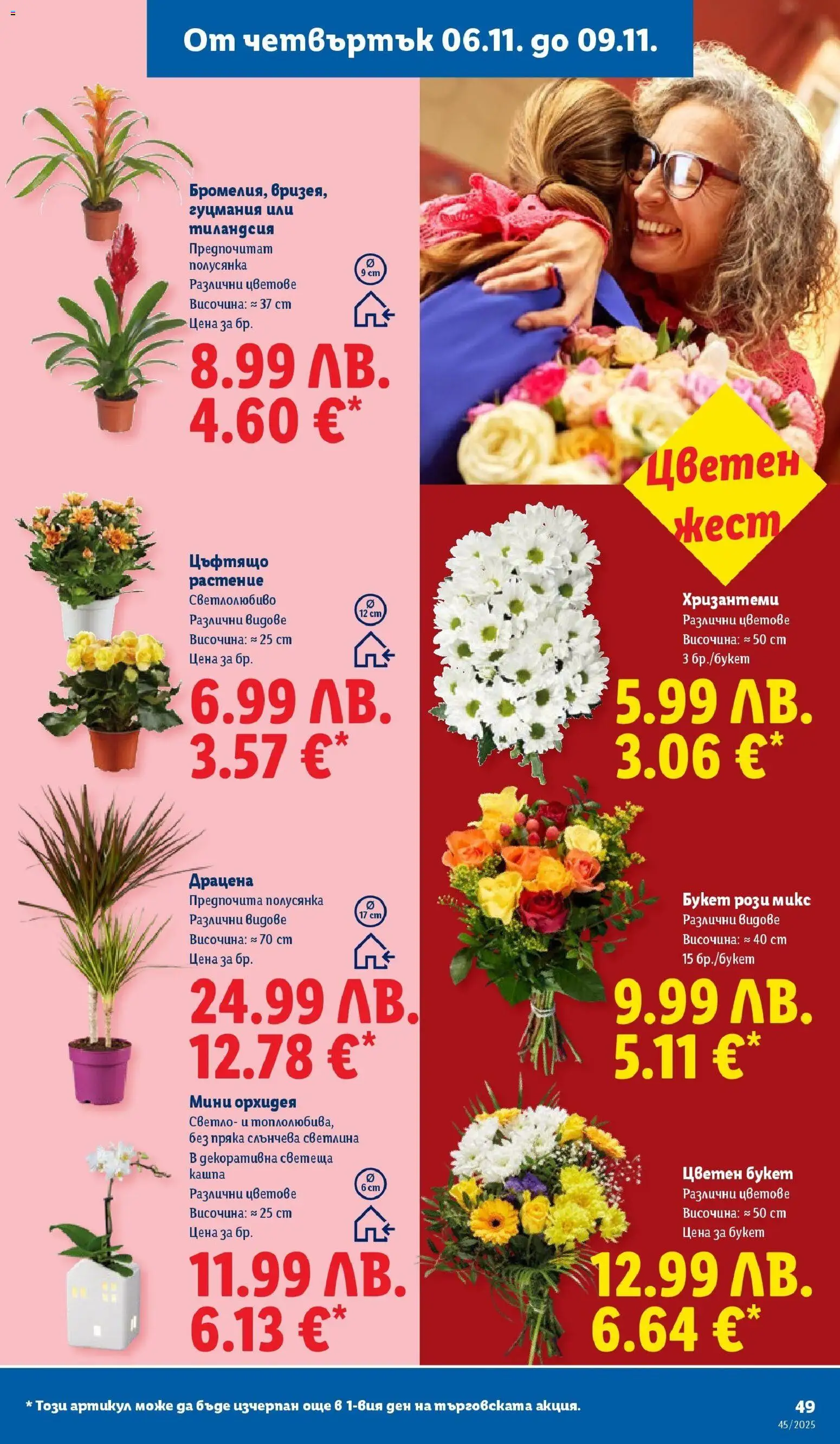 {H1} | Страница: 49 | Продукти: Орхидея