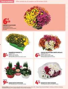 Auchan folder / publicité - Voorbeeld van een folder van Auchan, geldig van 21.10.2025 | Pagina: 6 | Producten: Pot