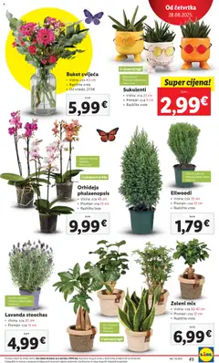 Lidl katalog | vrijedi od 25.08.2025 | Stranica: 49