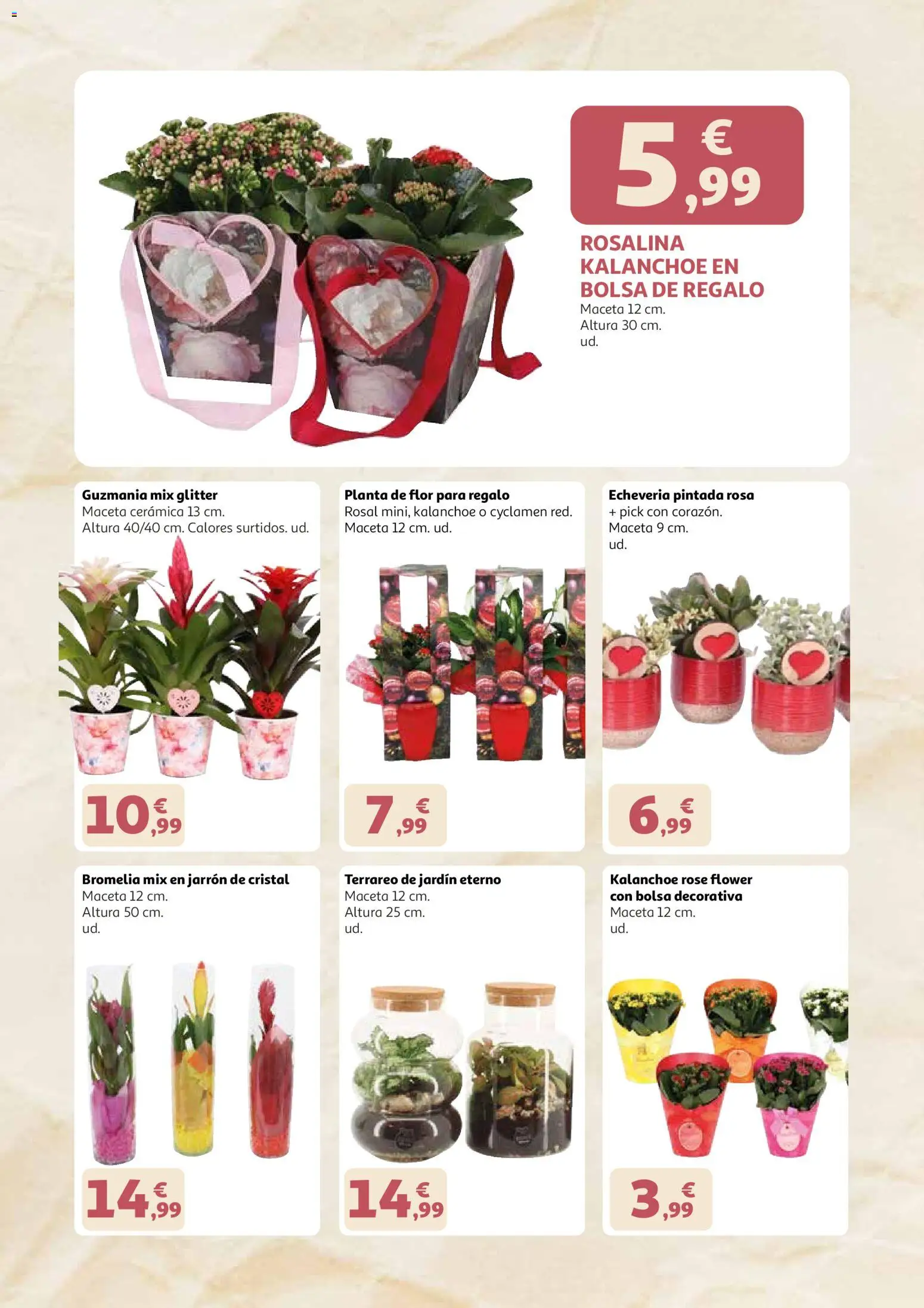 Alcampo - Dia de la madre 2026 │ válido desde el 21.04.2026 | Página: 4 | Productos: Bolsa, Maceta, Jarrón