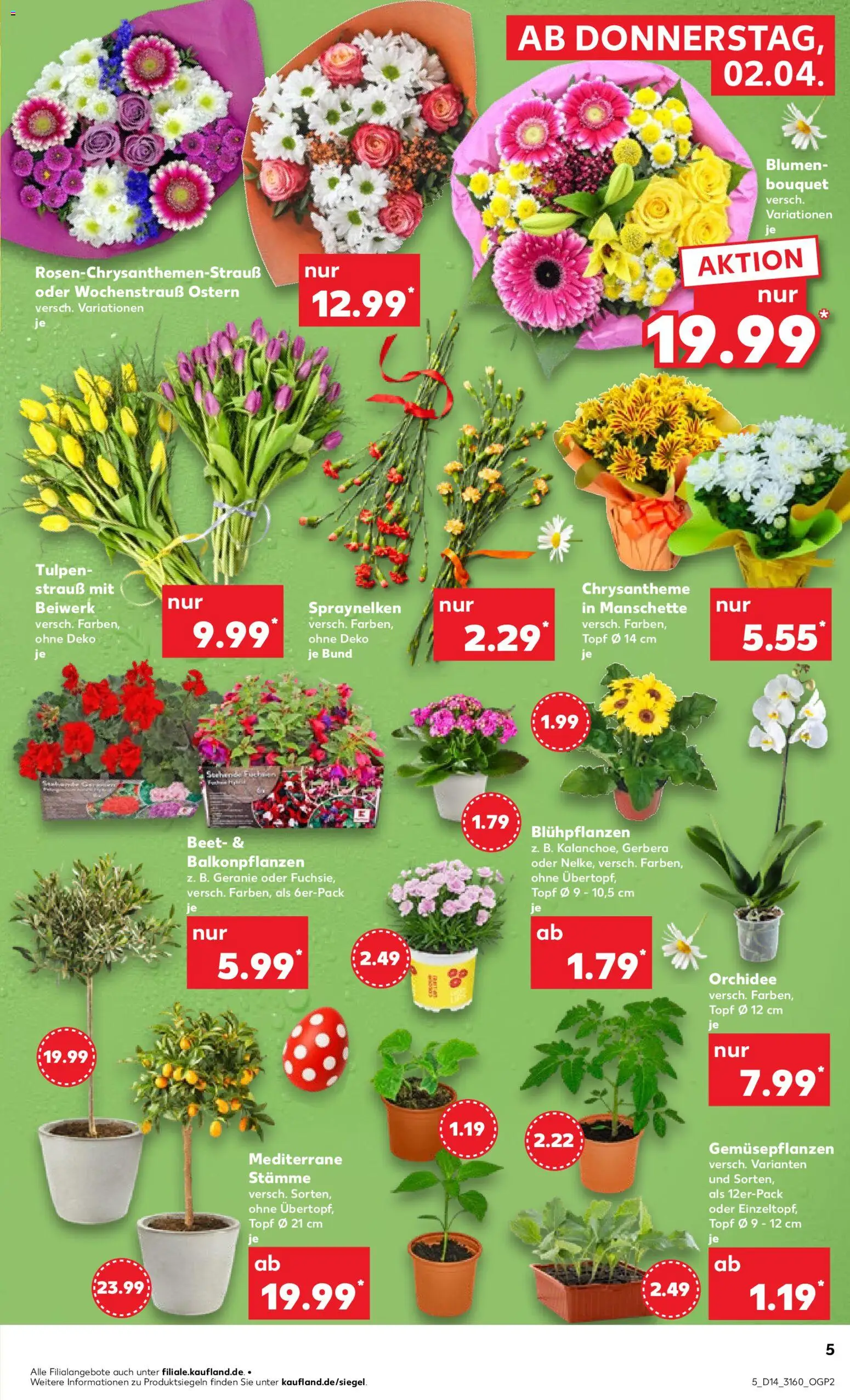 Kaufland Prospekt Jena	 – gültig ab 02.04.2026 | Seite: 5 | Produkte: Orchidee, Blumen