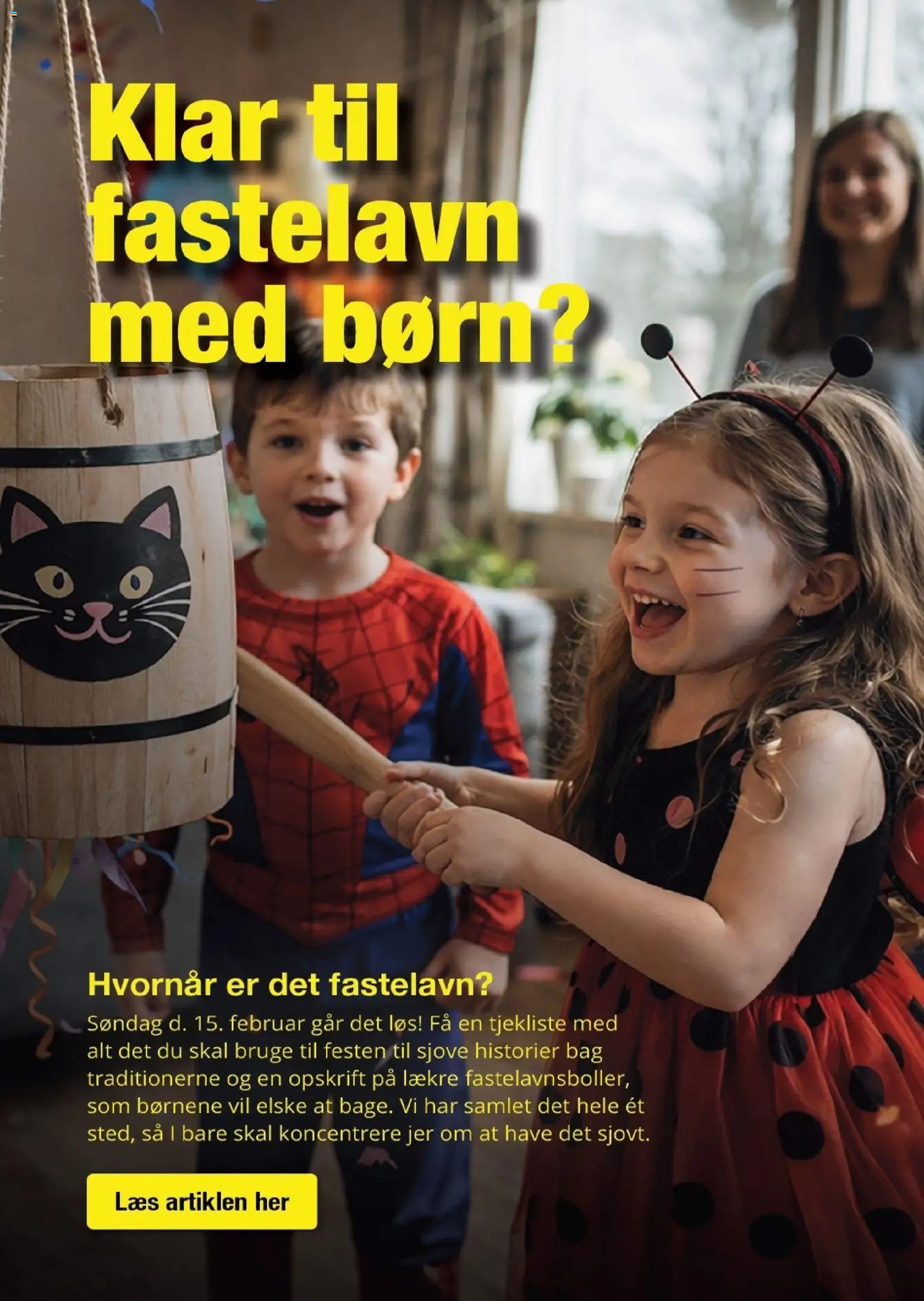 Harald Nyborg tilbudsavis – gyldig fra 05.02.2026 | Side: 17