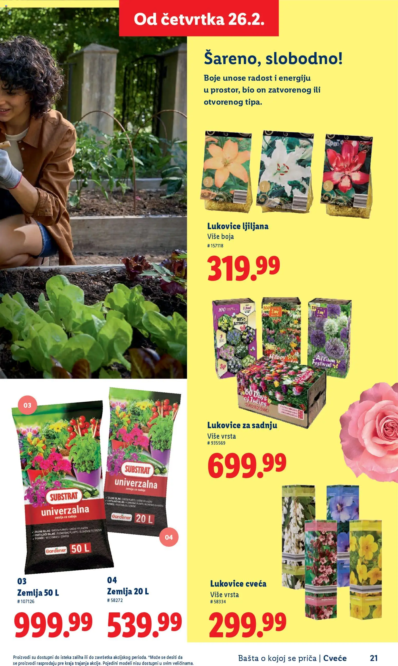 Lidl katalog - važi od 26.02.2026 | Strana: 21 | Proizvode: Zemlja, Cvece