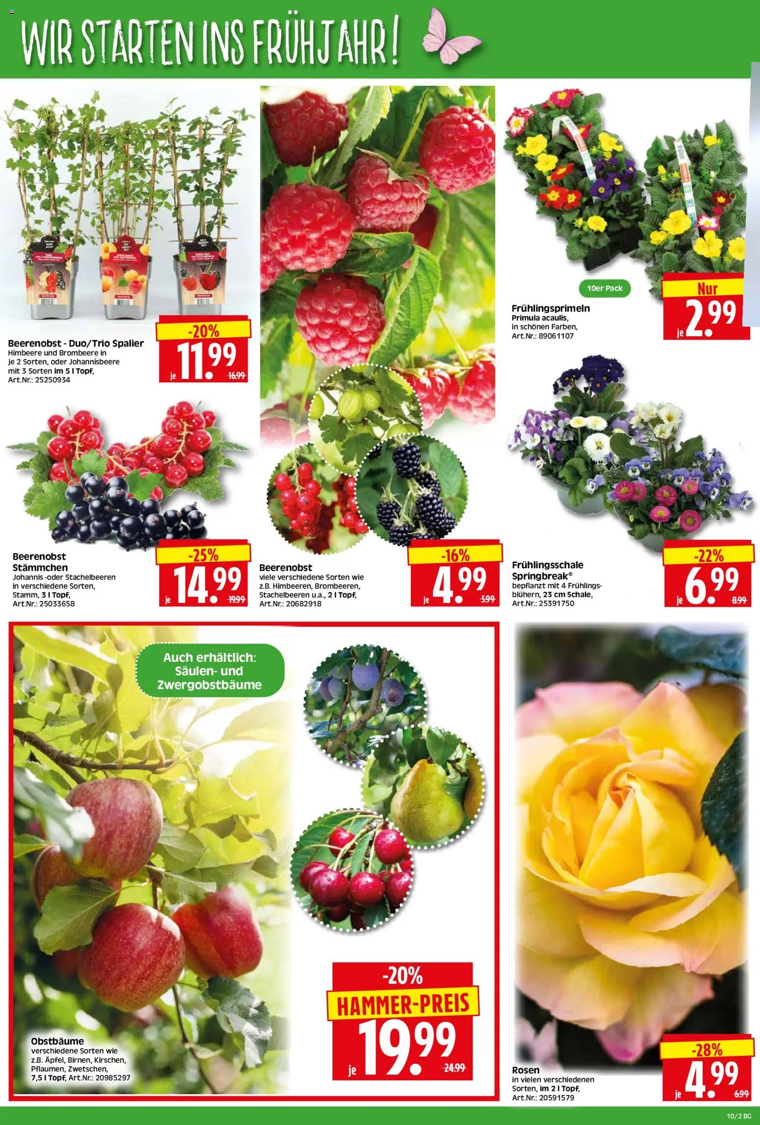 HERKULES Bau & Garten – gültig ab 02.03.2026 | Seite: 2 | Produkte: Himbeere