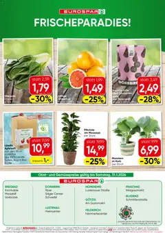 Eurospar Flugblatt - Vorarlberg ab 29.01.2026 gültig | Seite: 16 | Produkte: Grapefruit, Obst, Korb, Planche de surf