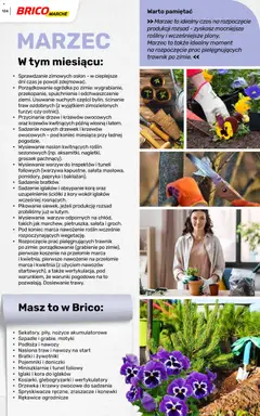 Pogląd oferty "Brico Marché gazetka - Wiosna" - ważna od 04.03.2026 | Strona: 124 | Produkty: Bratki, Papryka, Rosliny, Warzywa