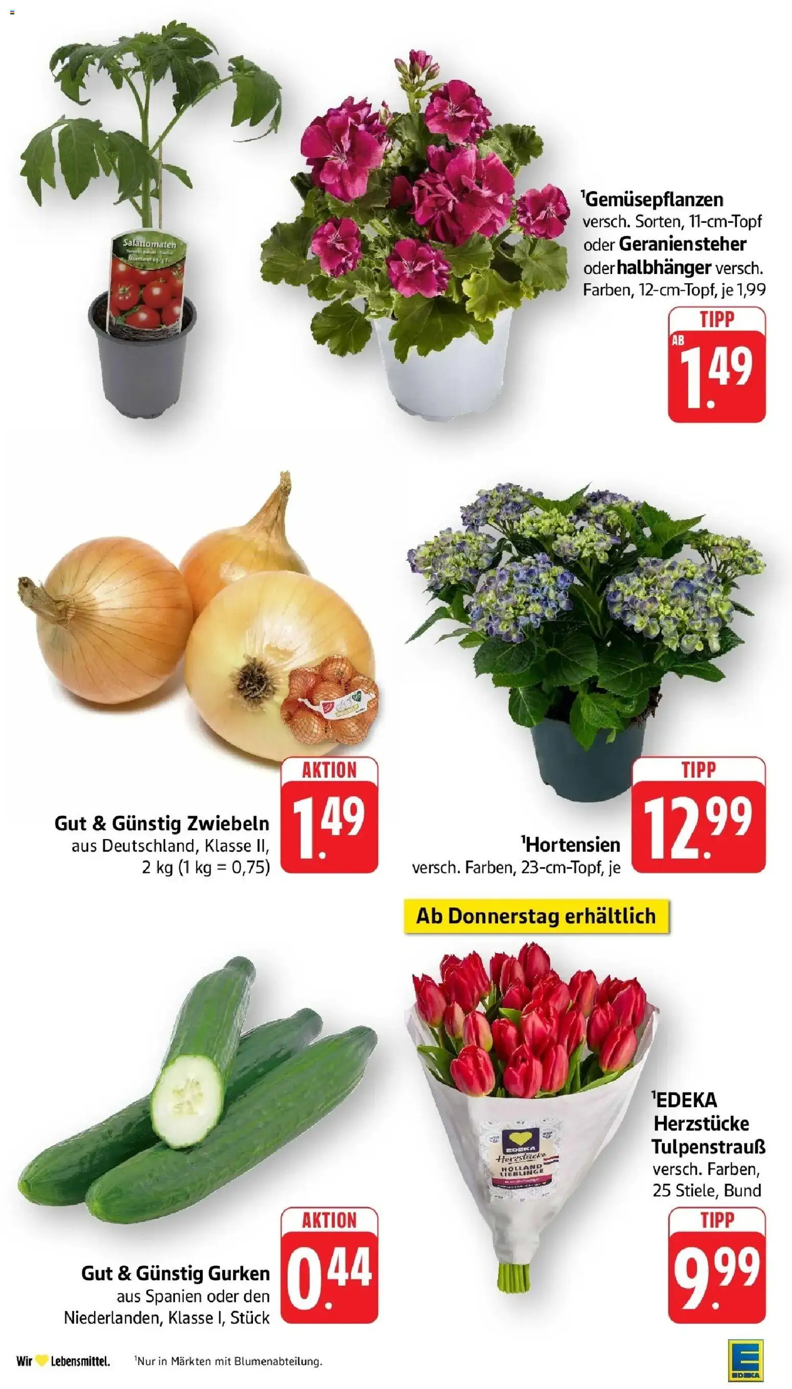 Edeka prospekt Freiburg	 – gültig ab 12.04.2026 | Seite: 5 | Produkte: Zwiebeln, Gurken