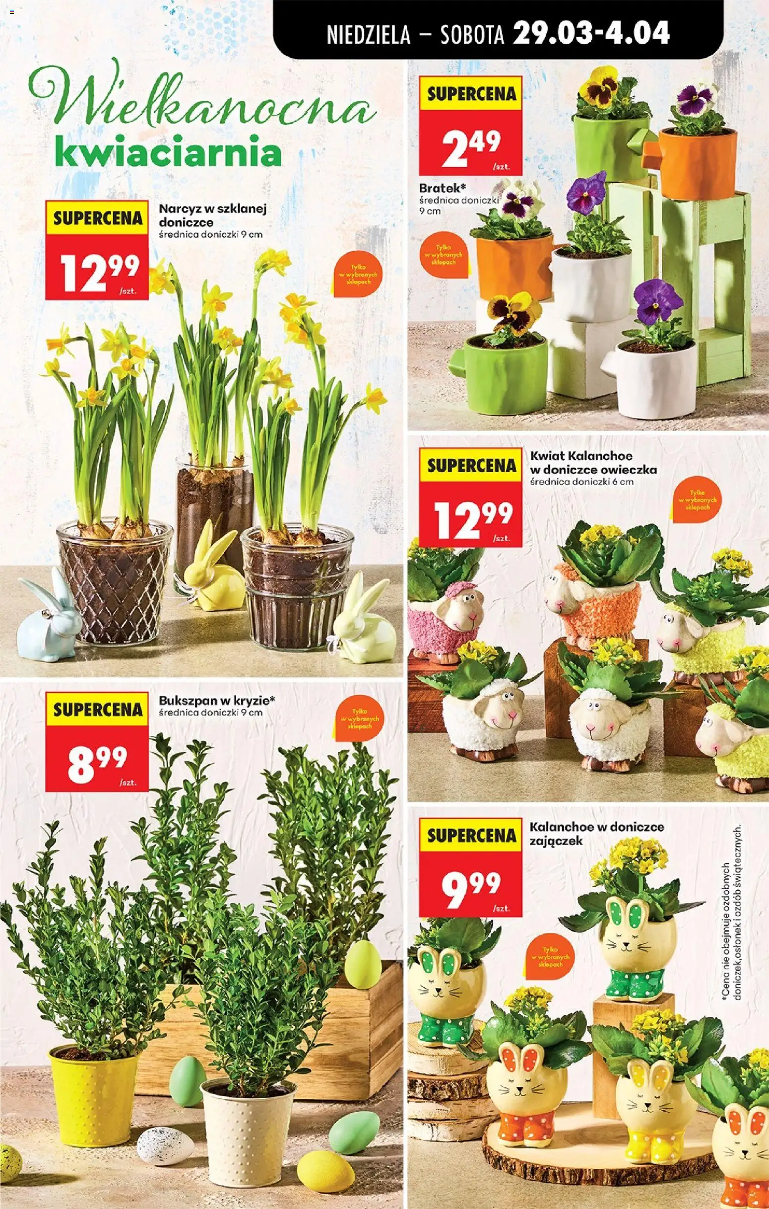 Biedronka gazetka od niedzieli od 29.03.2026 | Strona: 25 | Produkty: Doniczki, Kalanchoe