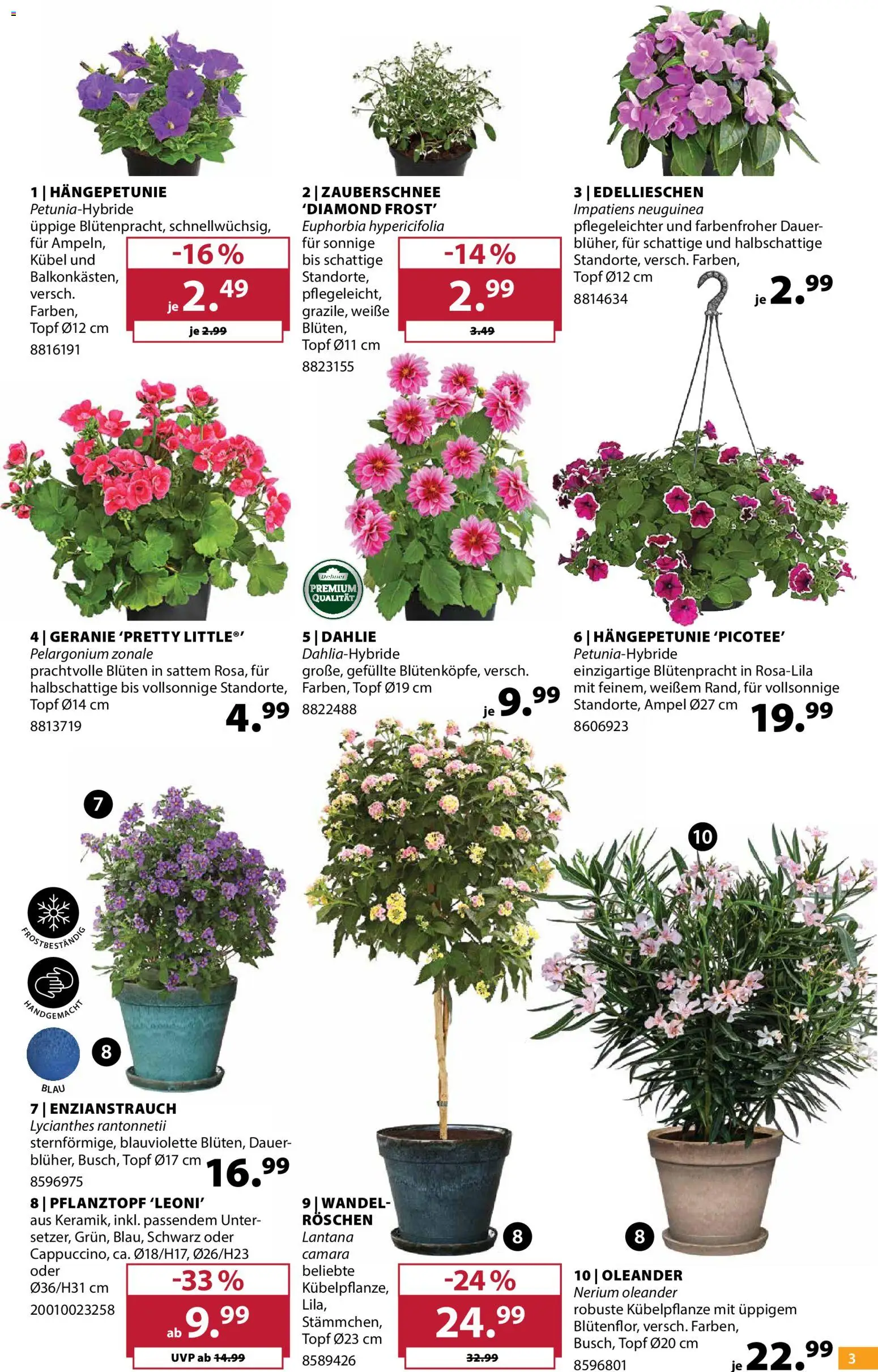 Dehner Prospekt 	 – gültig ab 22.04.2026 | Seite: 3