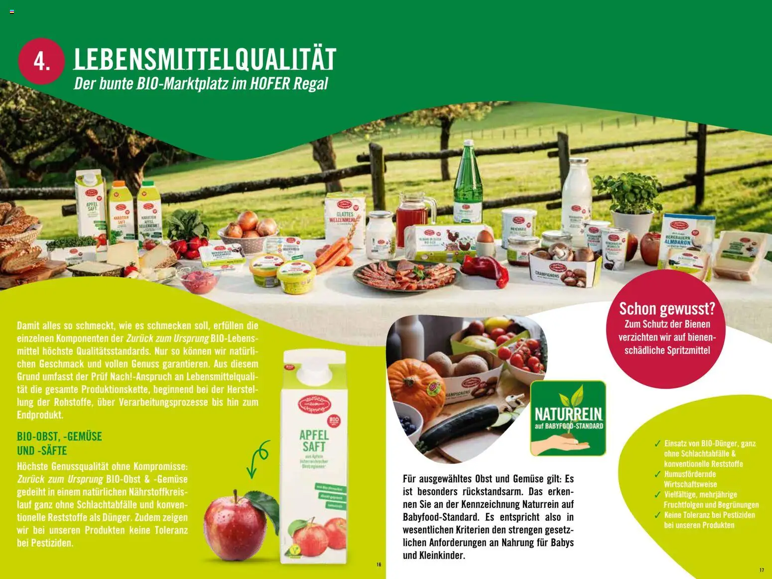Hofer Alles über die nachhaltige Bio-Eigenmarke  gültig ab 20.02.2026 | Seite: 9 | Produkte: Gemüse, Obst, Regal, Äpfel