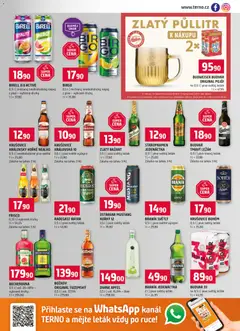 Náhled letáku Terno leták od 04.02.2026 | Strana: 13