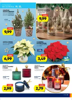 Hofer katalog akcije – veljaven od 04.12.2025 | Stran: 39 | Izdelki: Sveča, Kos