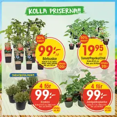 EKO erbjudanden - Förhandsvisning av reklamblad från butik EKO aktuell från 06.04.2026
