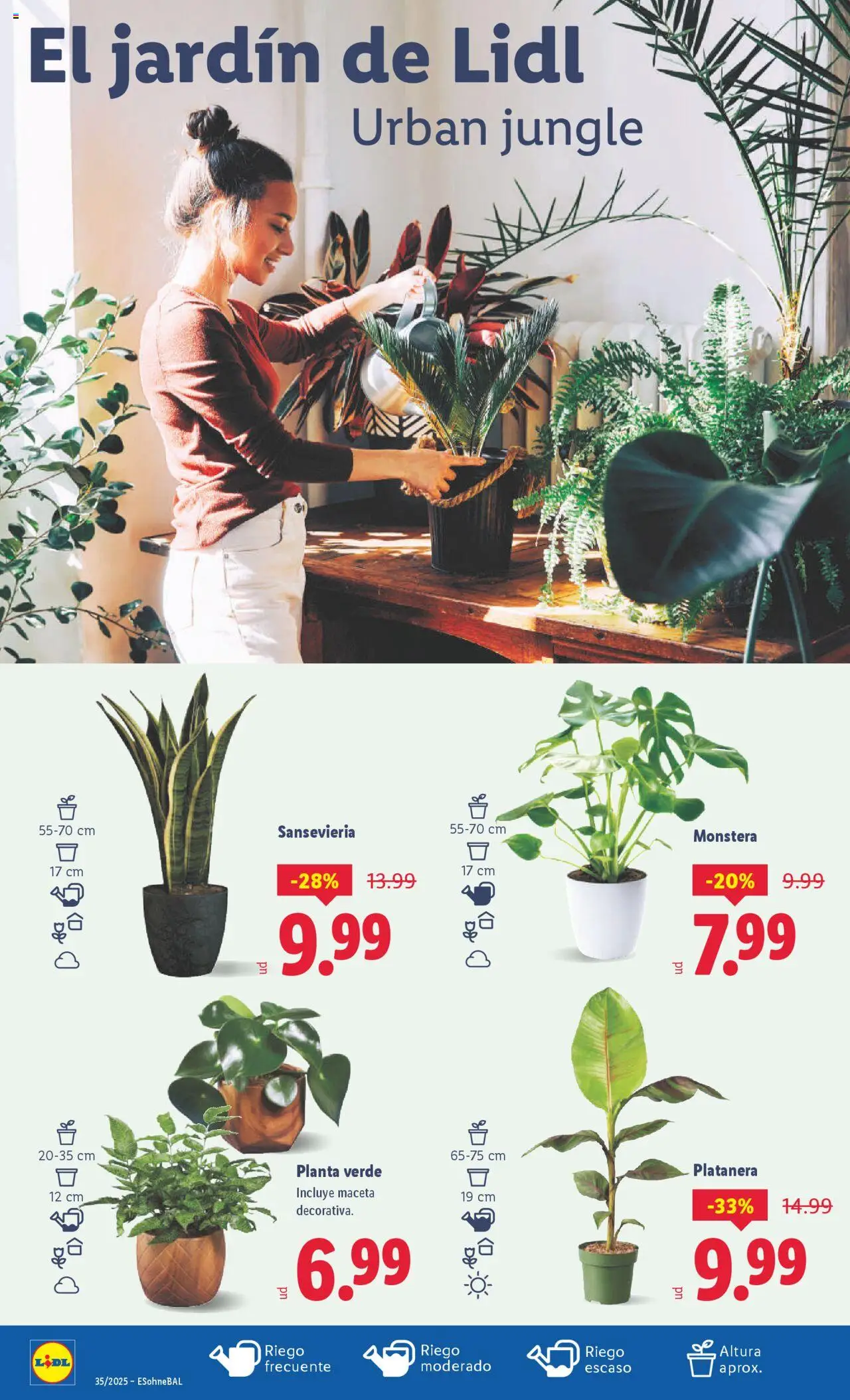 Lidl catálogo VAL │ válido desde el 25.08.2025 | Página: 24 | Productos: Maceta