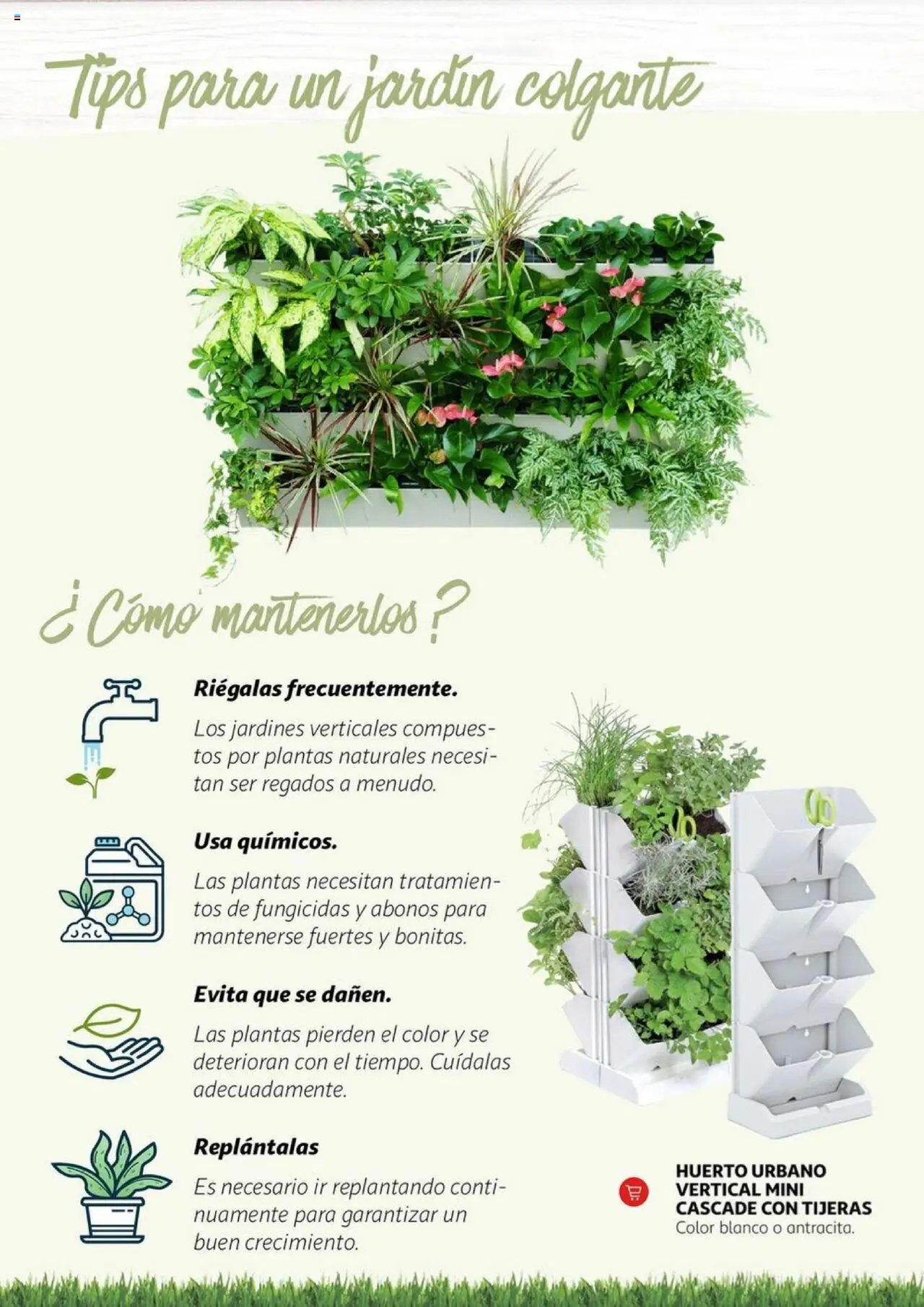 Alcampo - Jardín │ válido desde el 11.02.2025 | Página: 11