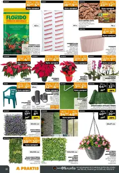 Преглед на Praktis - Black Friday - Офертите са валидни от 20.11.2025 | Страница: 32 | Продукти: Пано, Мрежа, Орхидея, Саксия