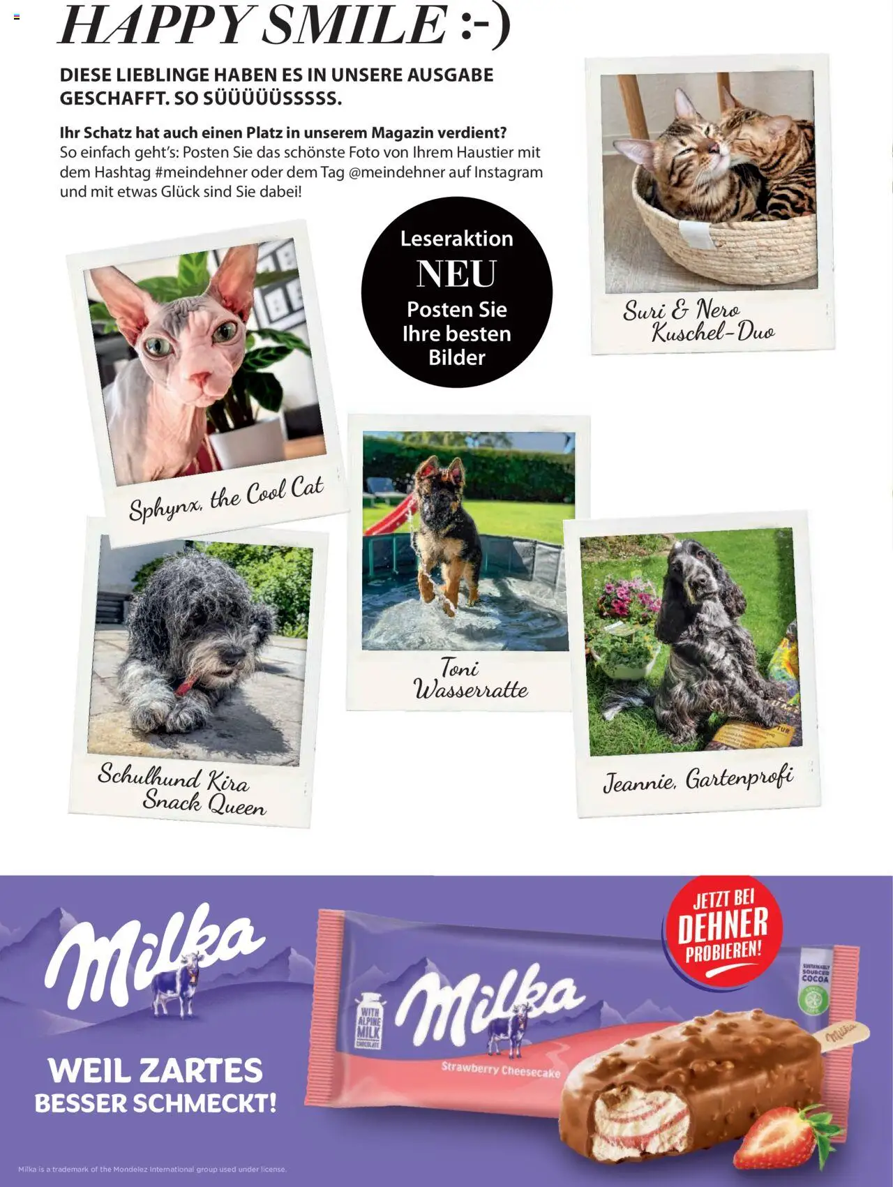 Dehner Prospekt - Deine Natur – gültig ab 23.04.2025 | Seite: 96 | Produkte: Milka, Bilder