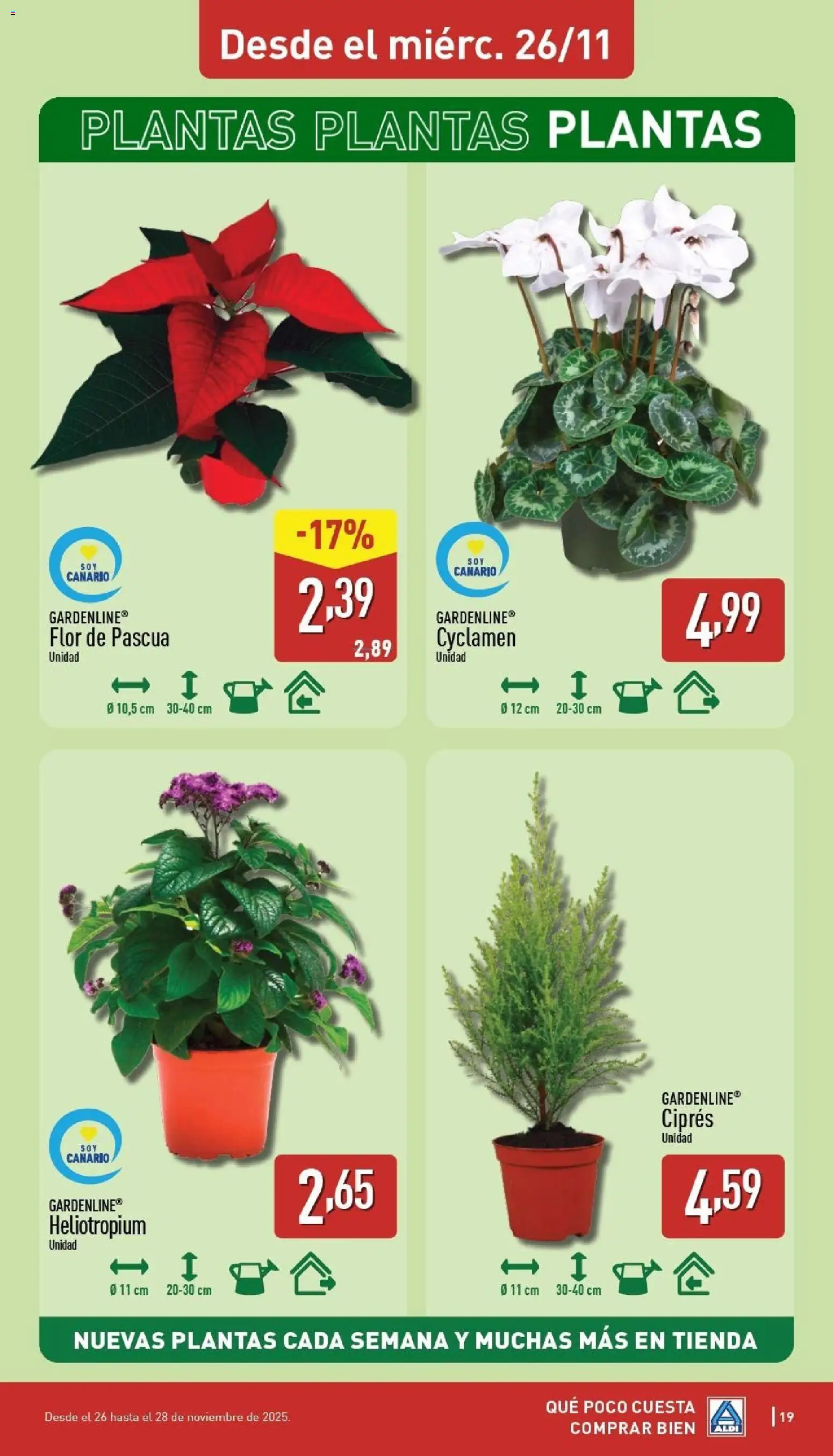 Aldi folleto Canarias │ válido desde el 24.11.2025 | Página: 19