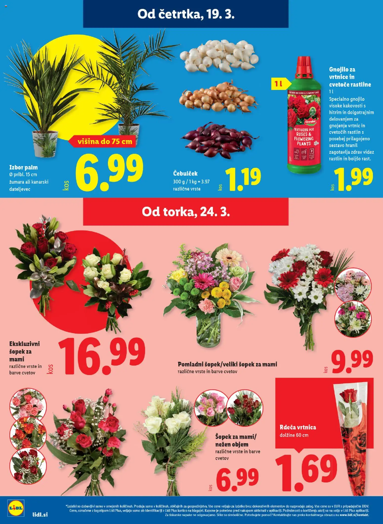 Novi Lidl katalog ponudbe – veljaven od 19.03.2026 | Stran: 20 | Izdelki: Šopek