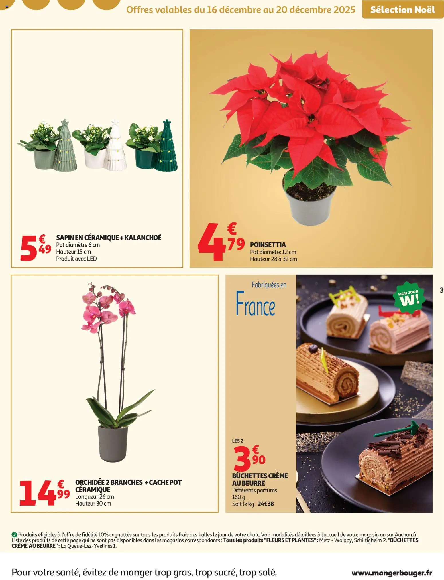 {H1} | Page: 3 | Produits: Poinsettia, Plantes, Fleurs et plantes, Orchidée