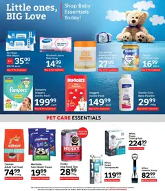 Oxford Freshmarket specials catalogue – valid from 28.01.2026 | Page: 19