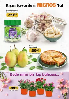 29.01.2026 tarihinden itibaren geçerli olan Migros kataloğu önizlemesi | Sayfa: 11