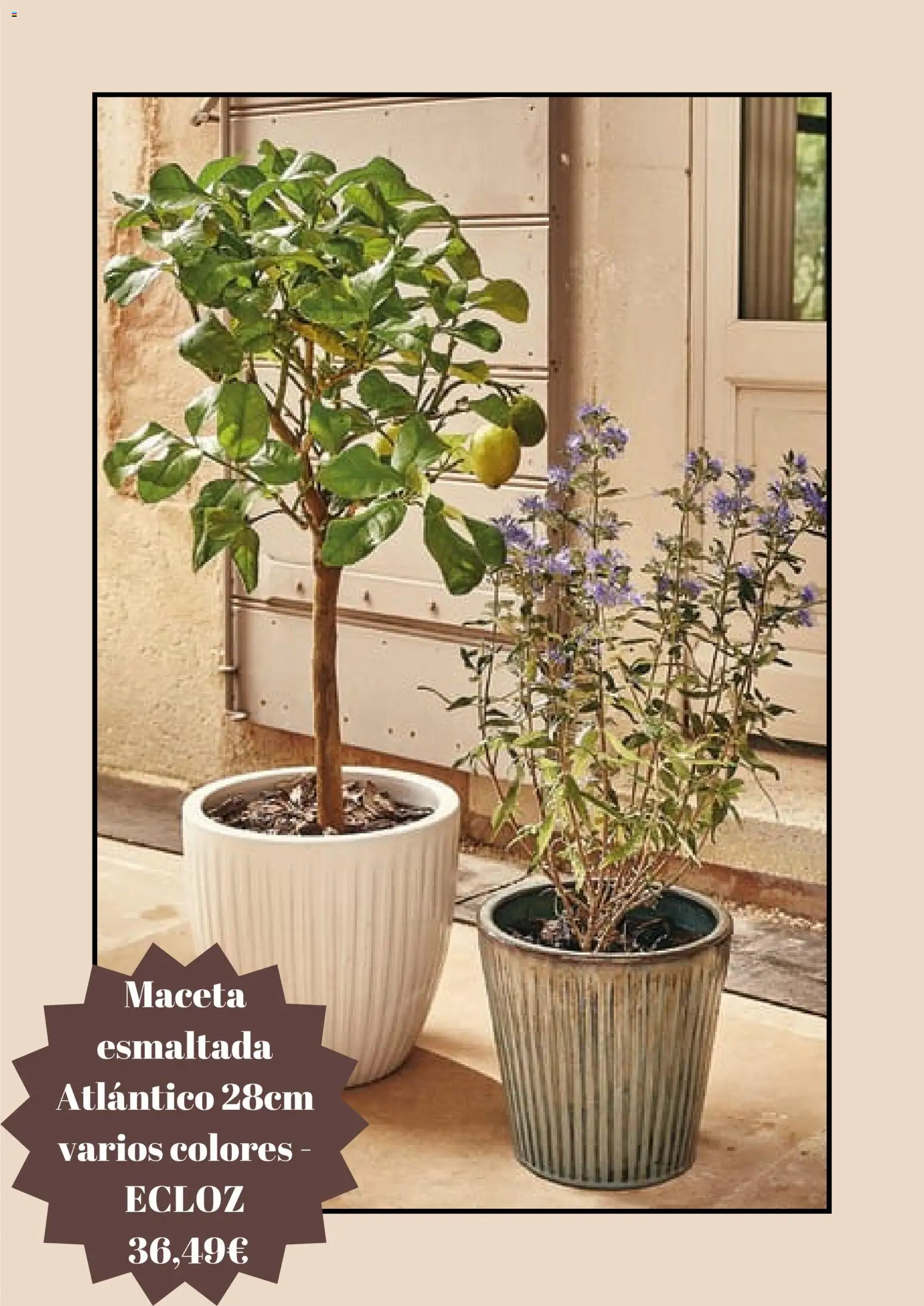 Jardiland Black Friday │ válido desde el 28.11.2025 | Página: 3 | Productos: Maceta