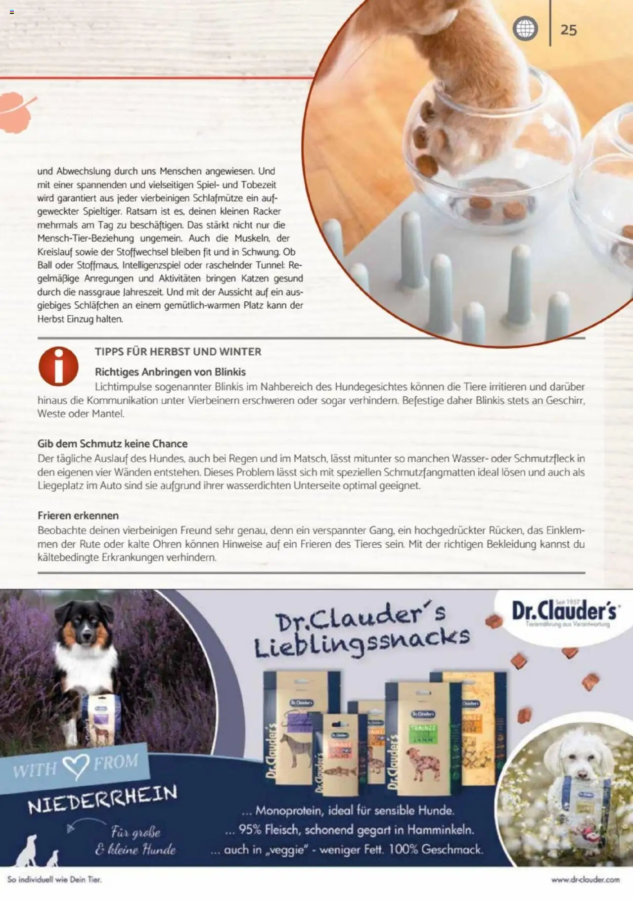 zookauf Heimtier Journal – gültig ab 01.10.2025 | Seite: 25 | Produkte: Spiel, Wasser, Bekleidung, Weste