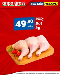 16.12.2025 tarihinden itibaren geçerli olan Anpa Gross kataloğu önizlemesi