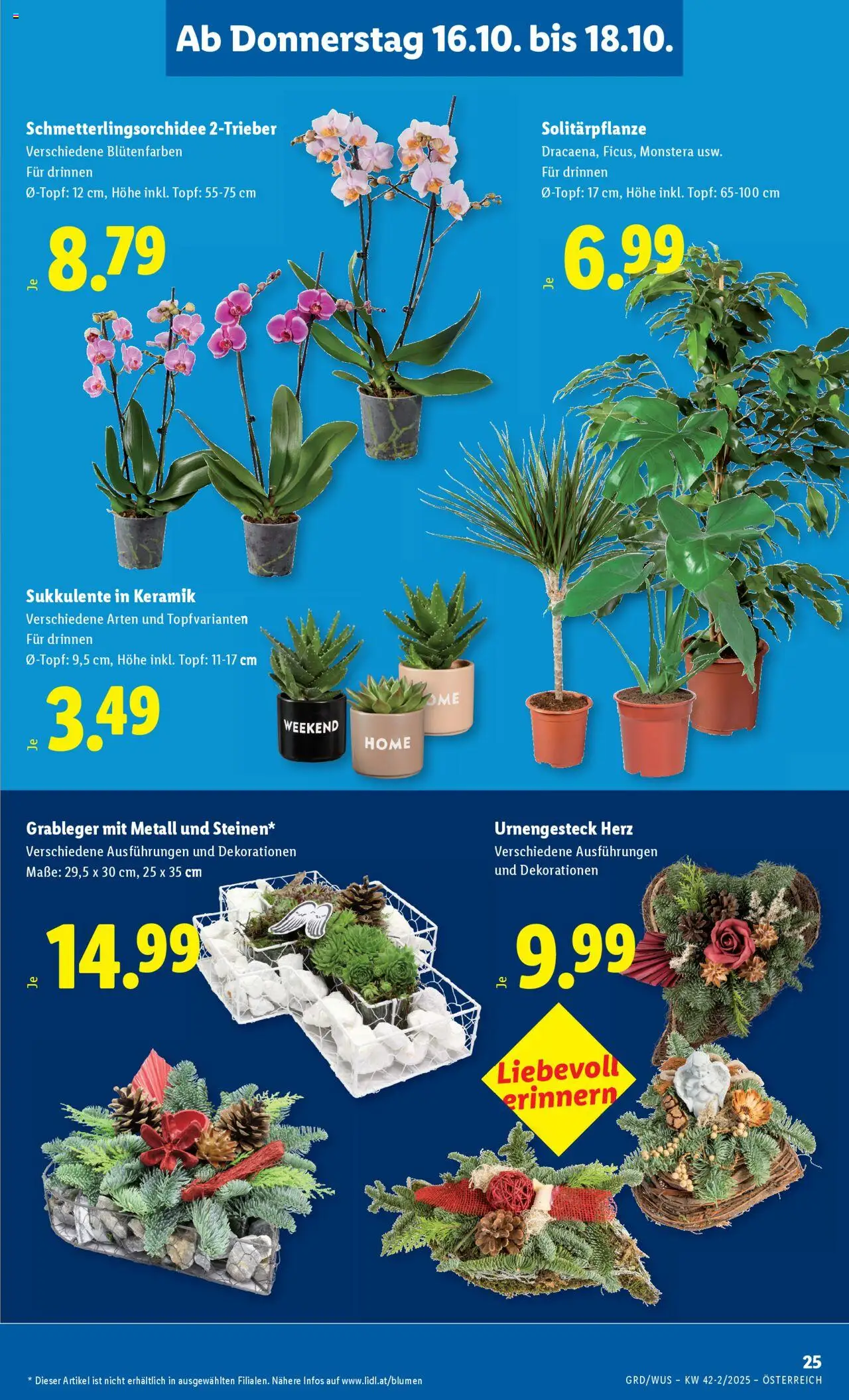 Lidl - Oberpullendorf, Güssing, Oberwart gültig ab 16.10.2025 | Seite: 29