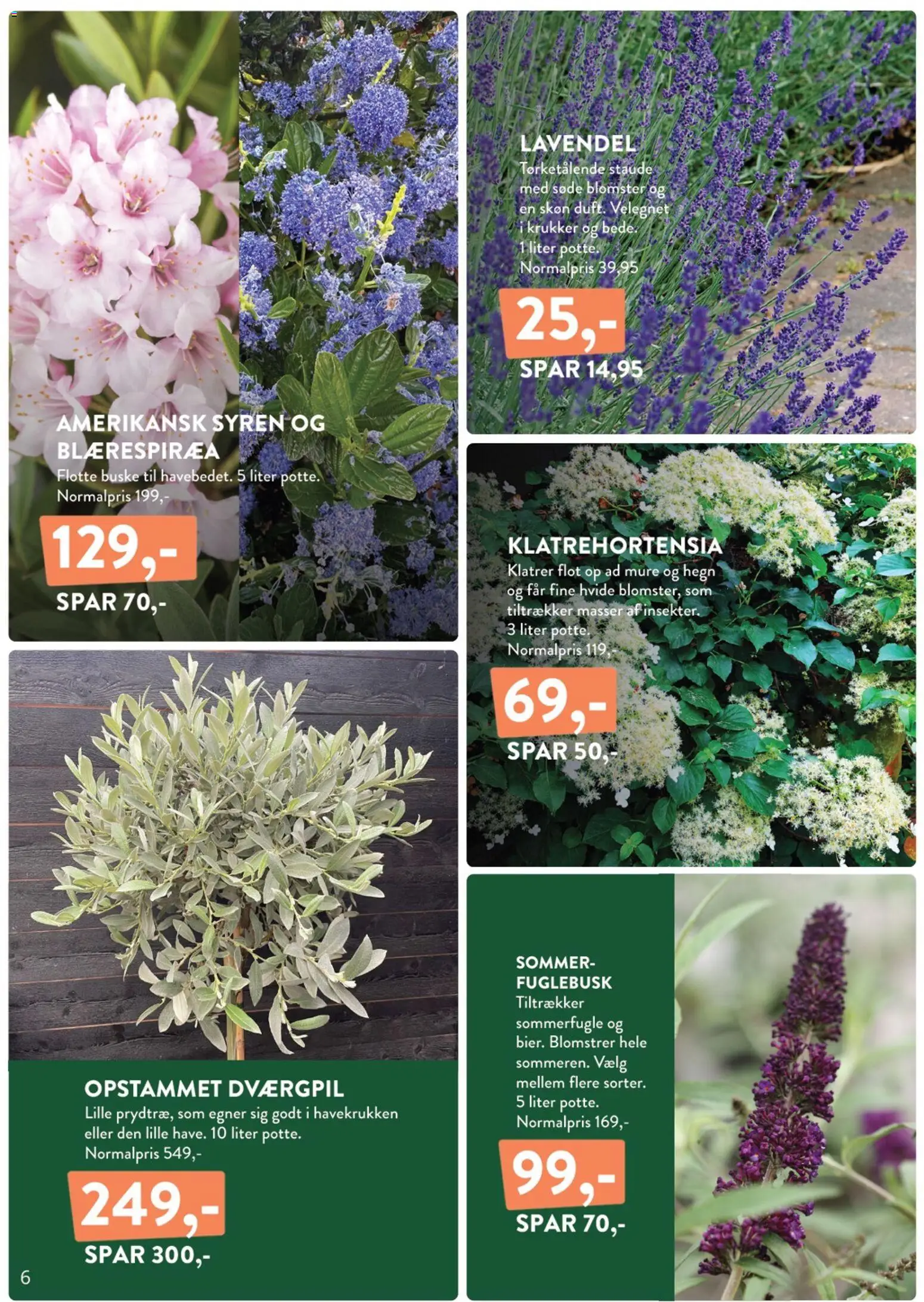 Plantorama tilbudsavis – gyldig fra 24.04.2026 | Side: 6 | Produkter: Søm