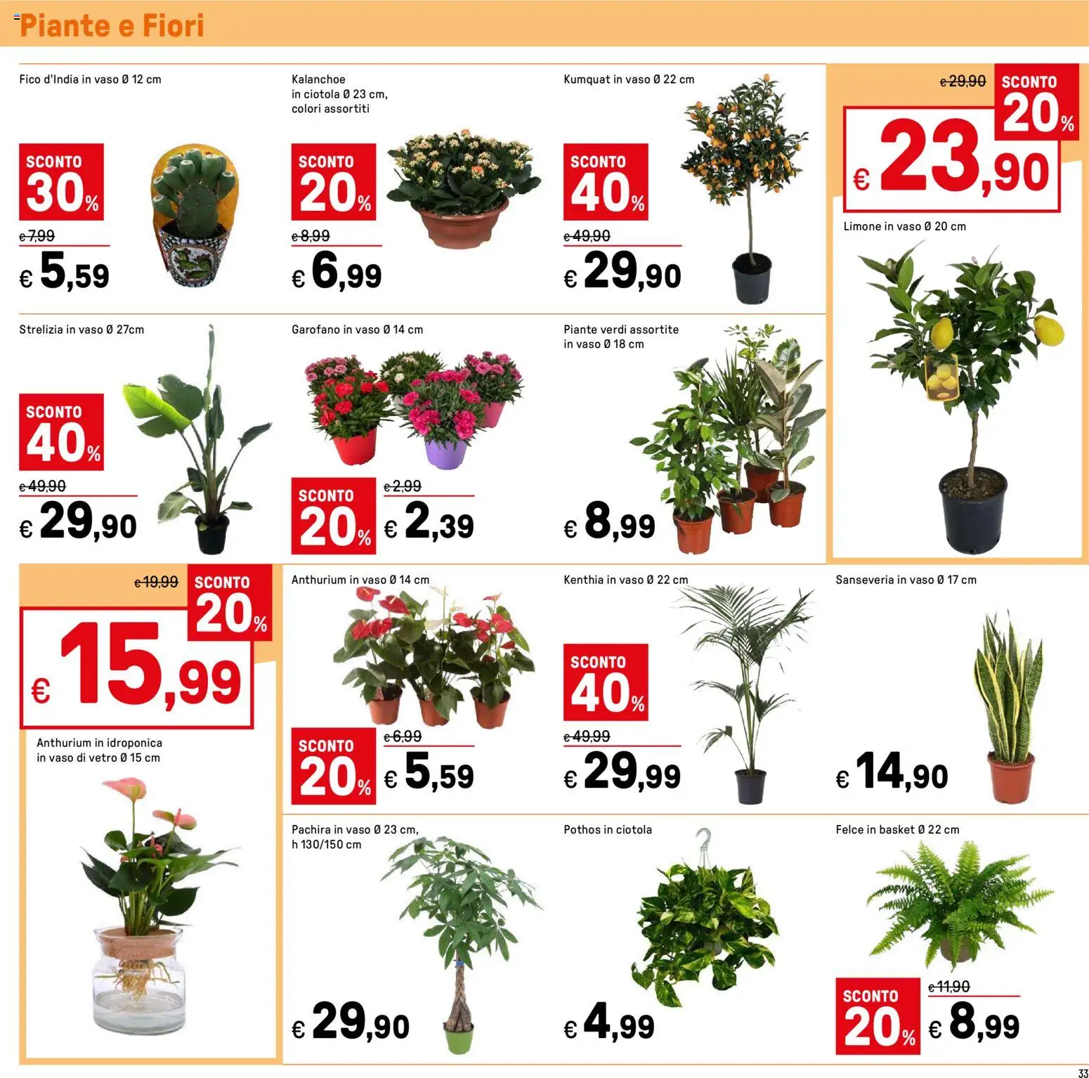 Volantino Iper del 16.01.2026 | Pagina: 33 | Prodotti: Limone, Ciotola, Vaso