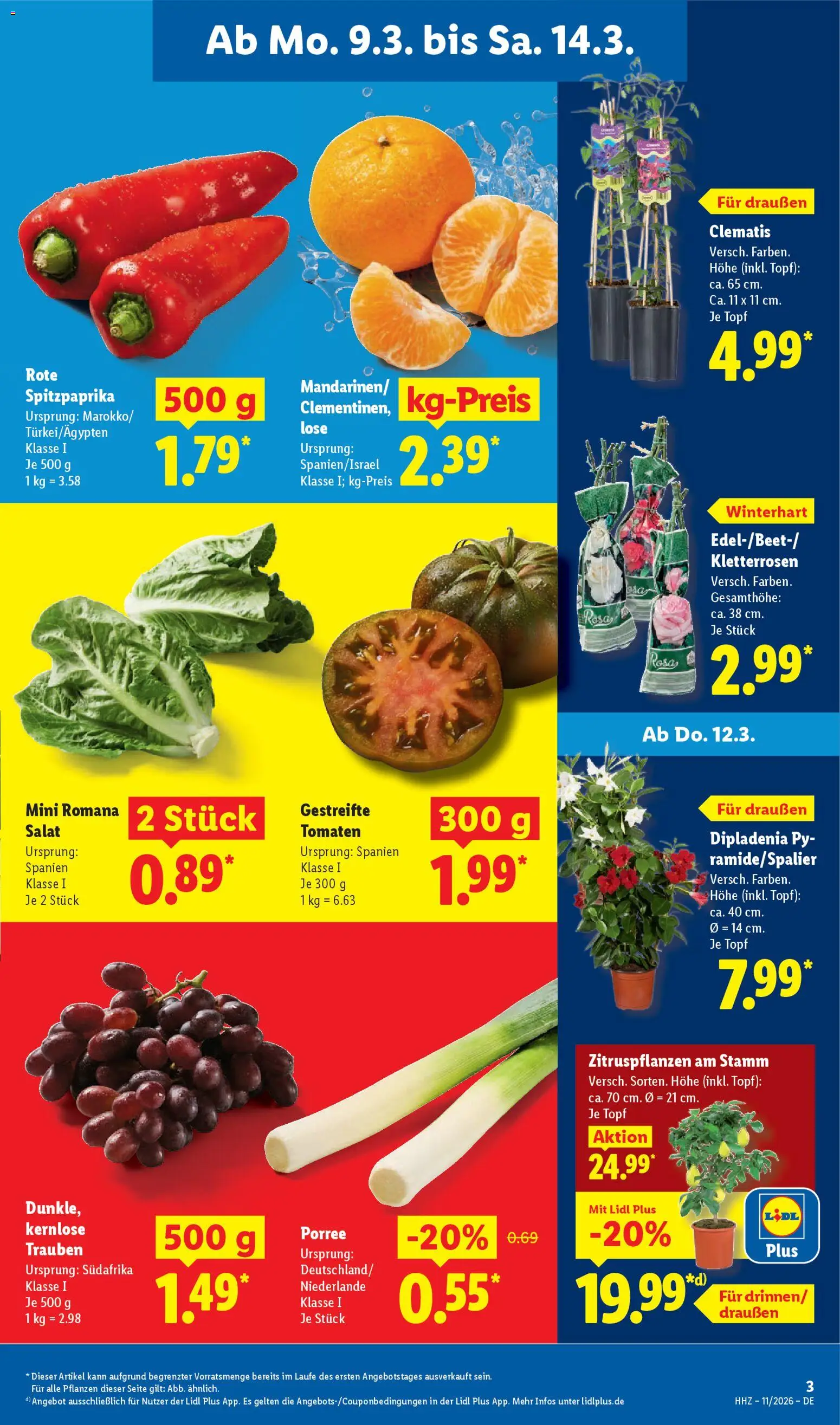 Lidl Prospekt München – gültig ab 09.03.2026 | Seite: 5 | Produkte: Trauben, Tomaten, Salat