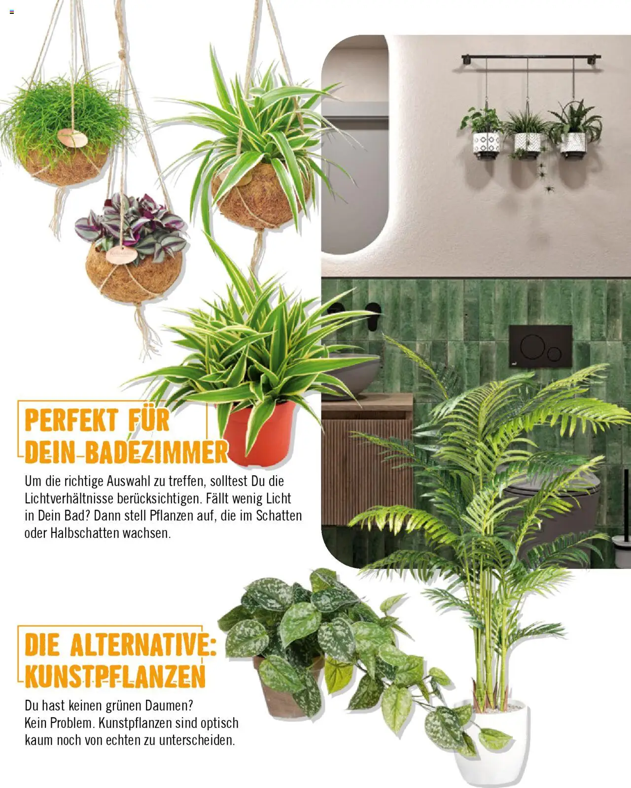 Hornbach Bad 2024 gültig ab 01.10.2024 | Seite: 67 | Produkte: Bad