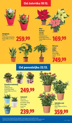 Lidl katalog - pregled Lidl kataloga - važi od 18.12.2025 | Strana: 55