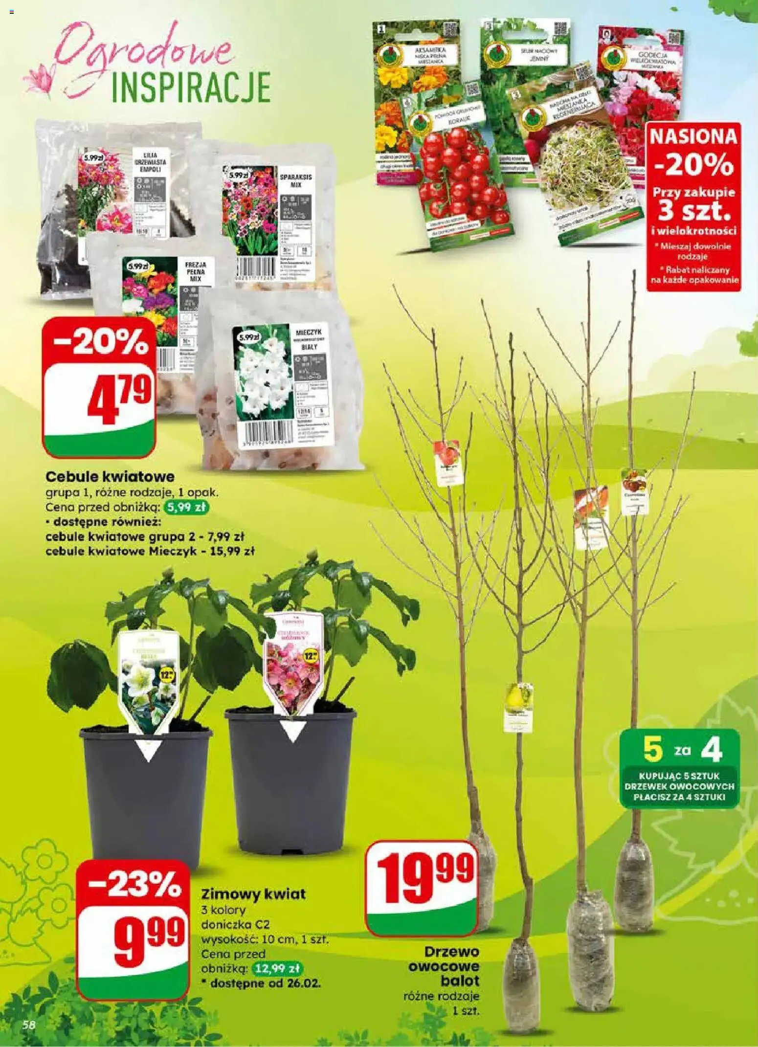 Dino Gazetka od 25.02.2026 | Strona: 58 | Produkty: Nasiona, Doniczka, Cebule