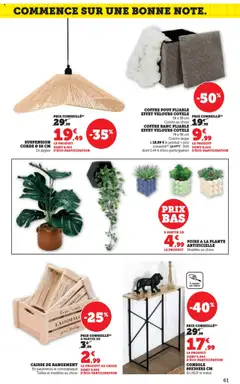  | Page: 61 | Produits: La plante artificielle, Suspension, Plante artificielle