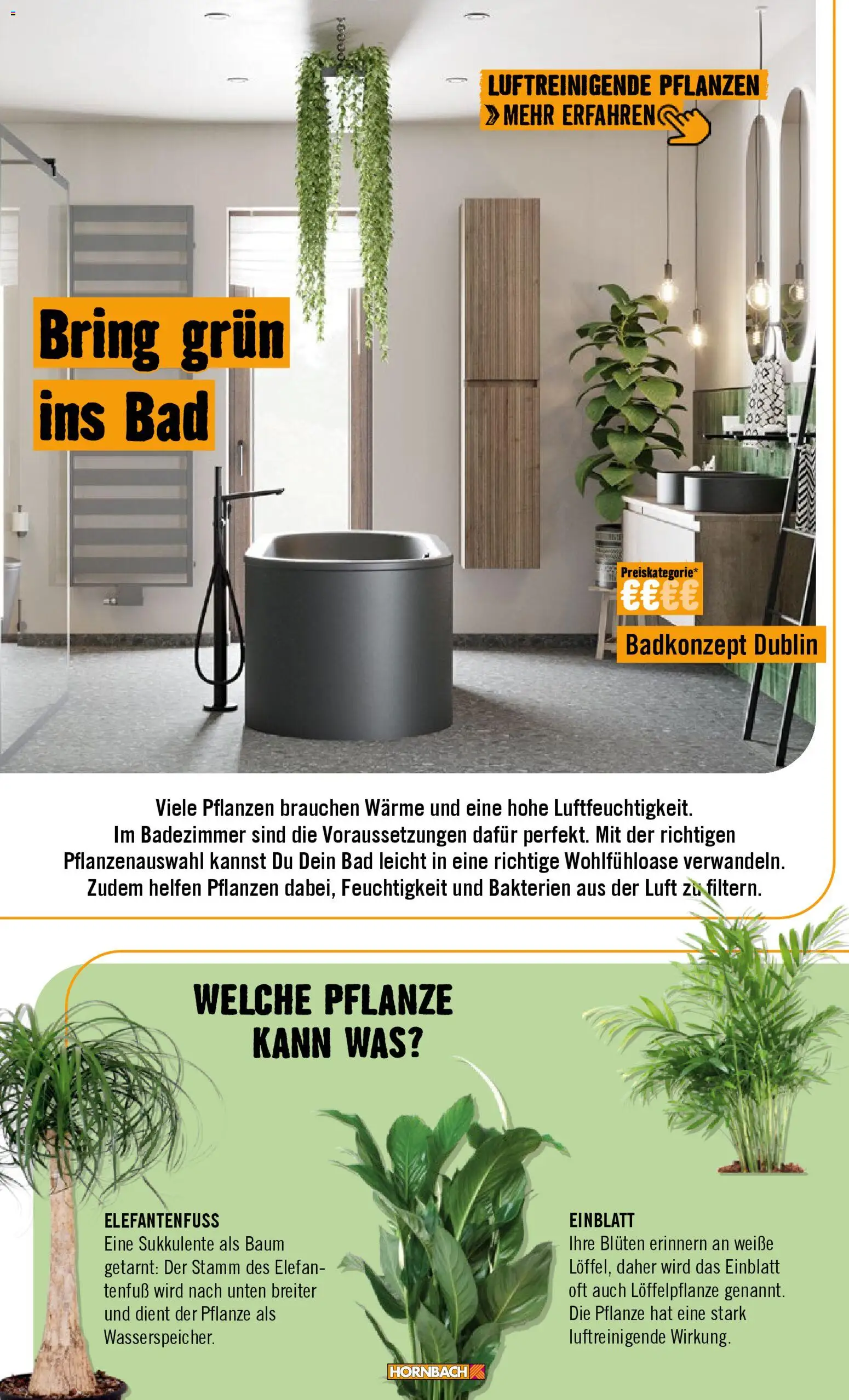 Hornbach Prospekt 	 – gültig ab 02.02.2026 | Seite: 66 | Produkte: Bad