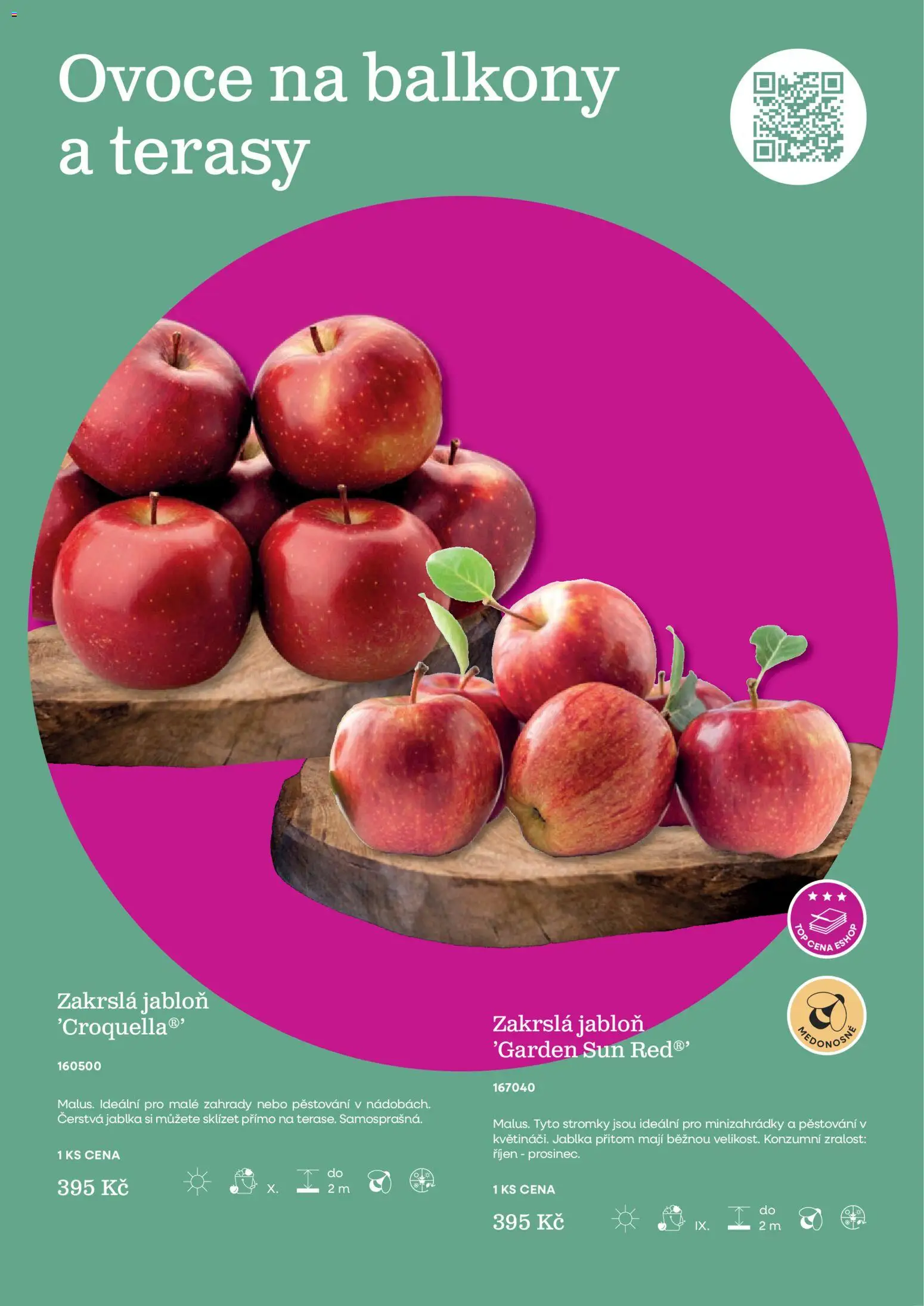 Starkl katalog od 25.02.2026 | Strana: 13 | Produkty: Ovoce, Jablka