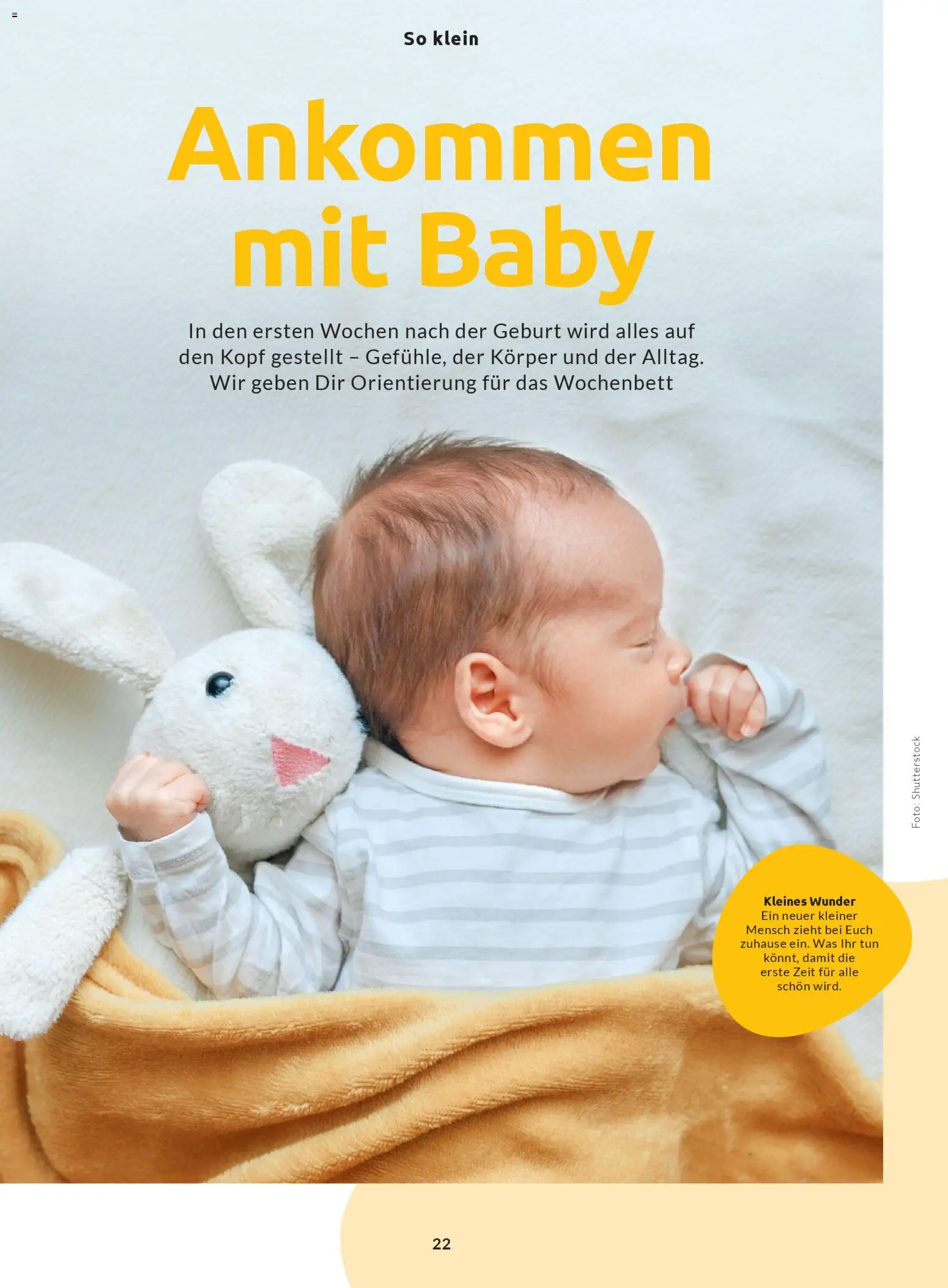 Budni Perle Magazin 02/26 – gültig ab 25.02.2026 | Seite: 22