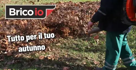 Anteprima del volantino Brico io Livorno catalogo valido a partire dal 09.10.2025