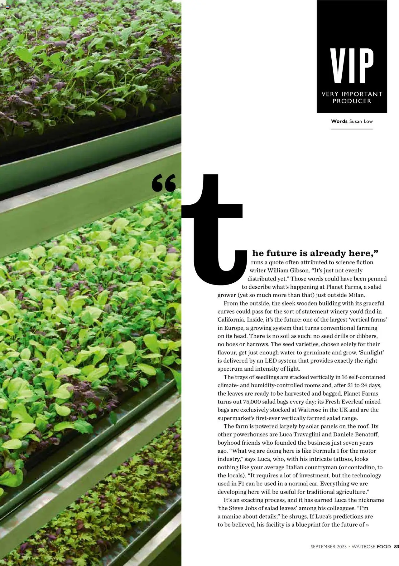  | Page: 83 | Products: Salad