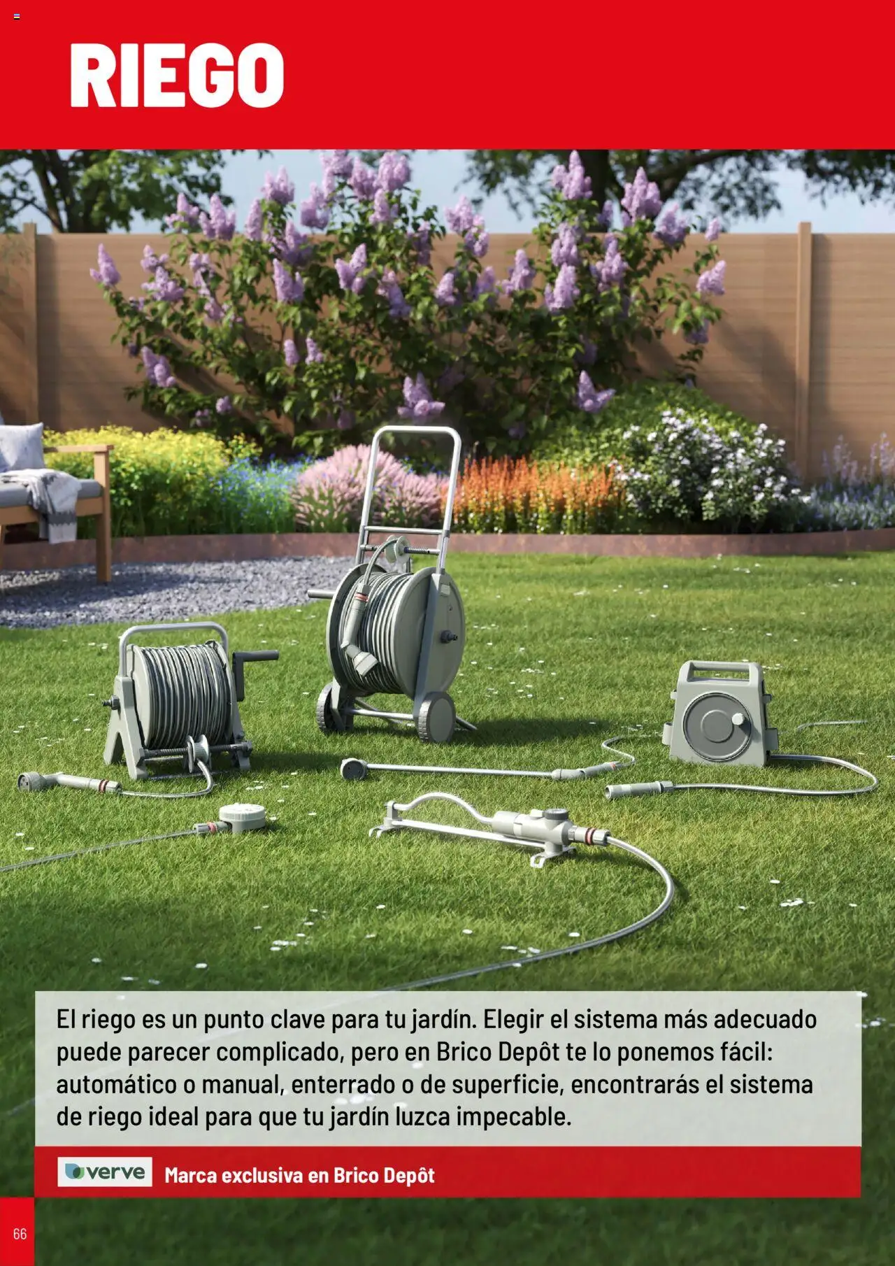 Brico Depôt Jardín │ válido desde el 25.04.2025 | Página: 66 | Productos: Té
