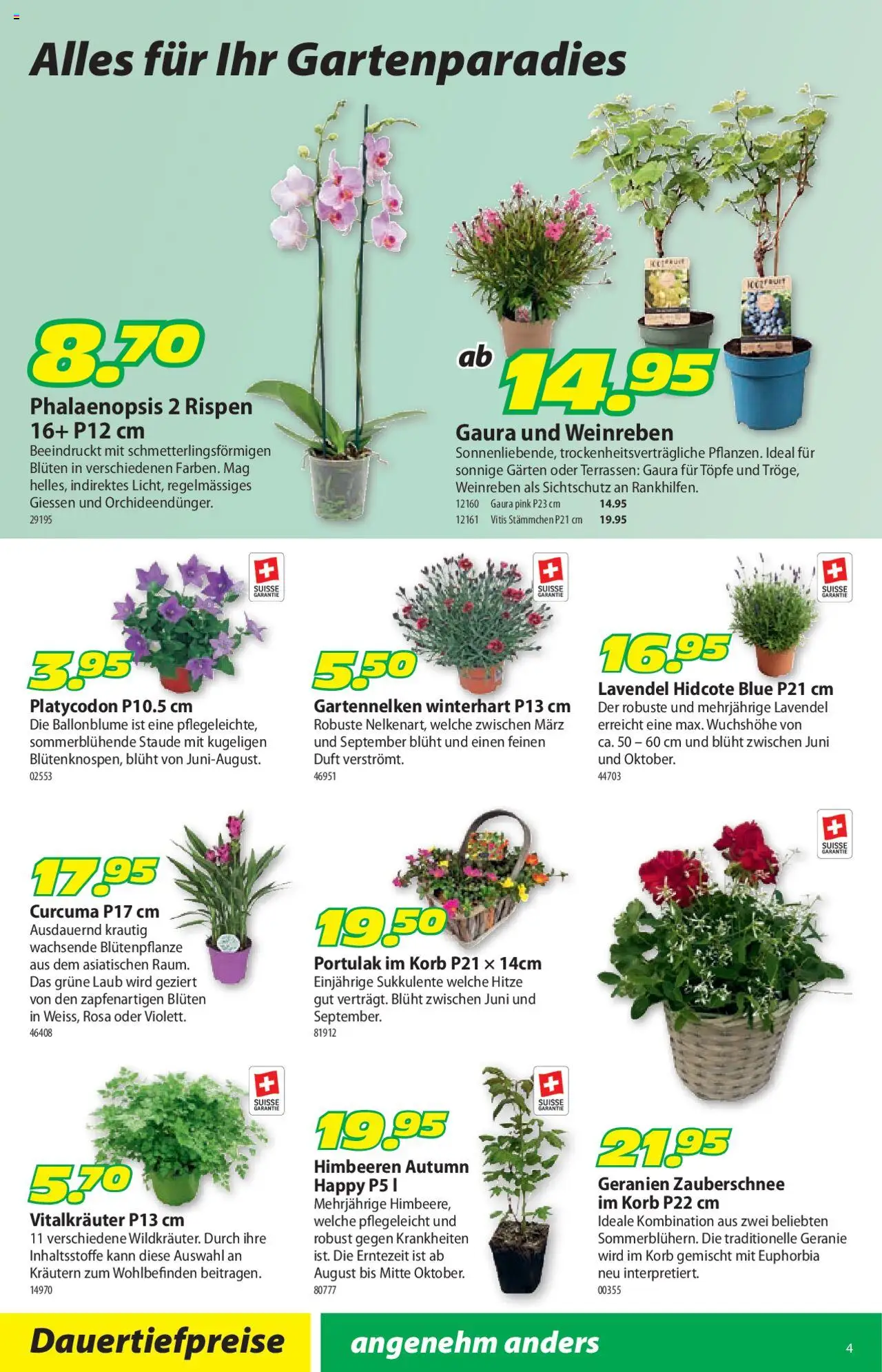Landi Aktionen ab 23.06.2025 | Seite: 8 | Produkte: Korb, Duft