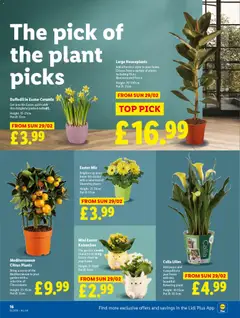 Preview of Lidl - Lidl Weekly valid from 26.03.2026 | Page: 18 | Products: Pot