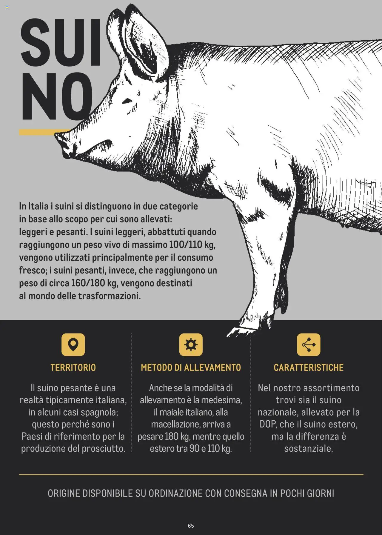 Volantino Metro del 02.07.2024 | Pagina: 65 | Prodotti: Maiale, Suino