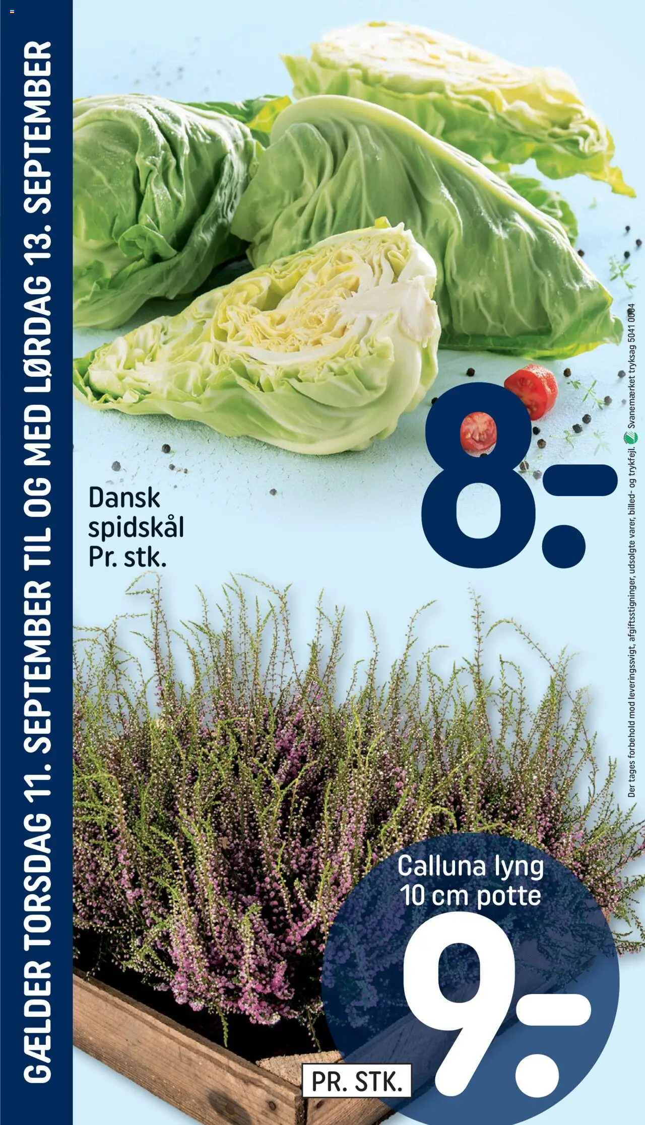Rema 1000 tilbudsavis – gyldig fra 11.09.2025 | Side: 4 | Produkter: Spidskål